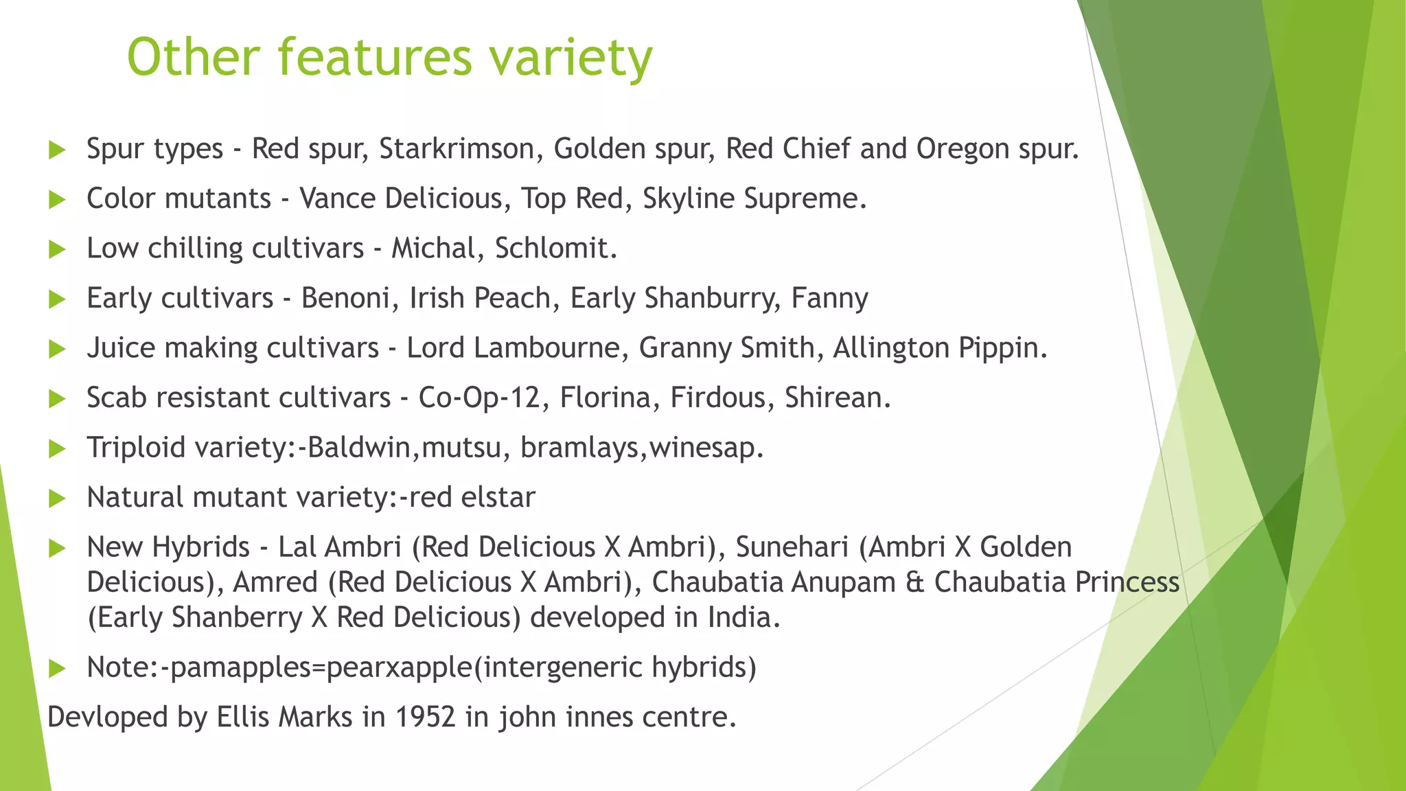 Slide 7