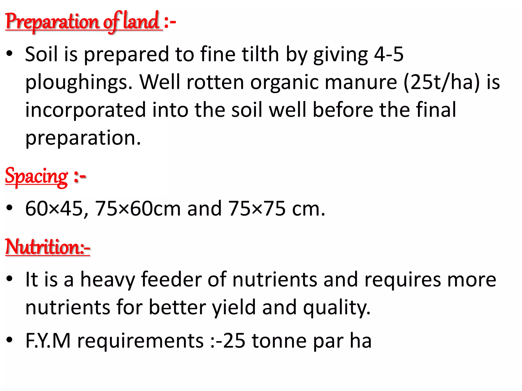 Slide 13