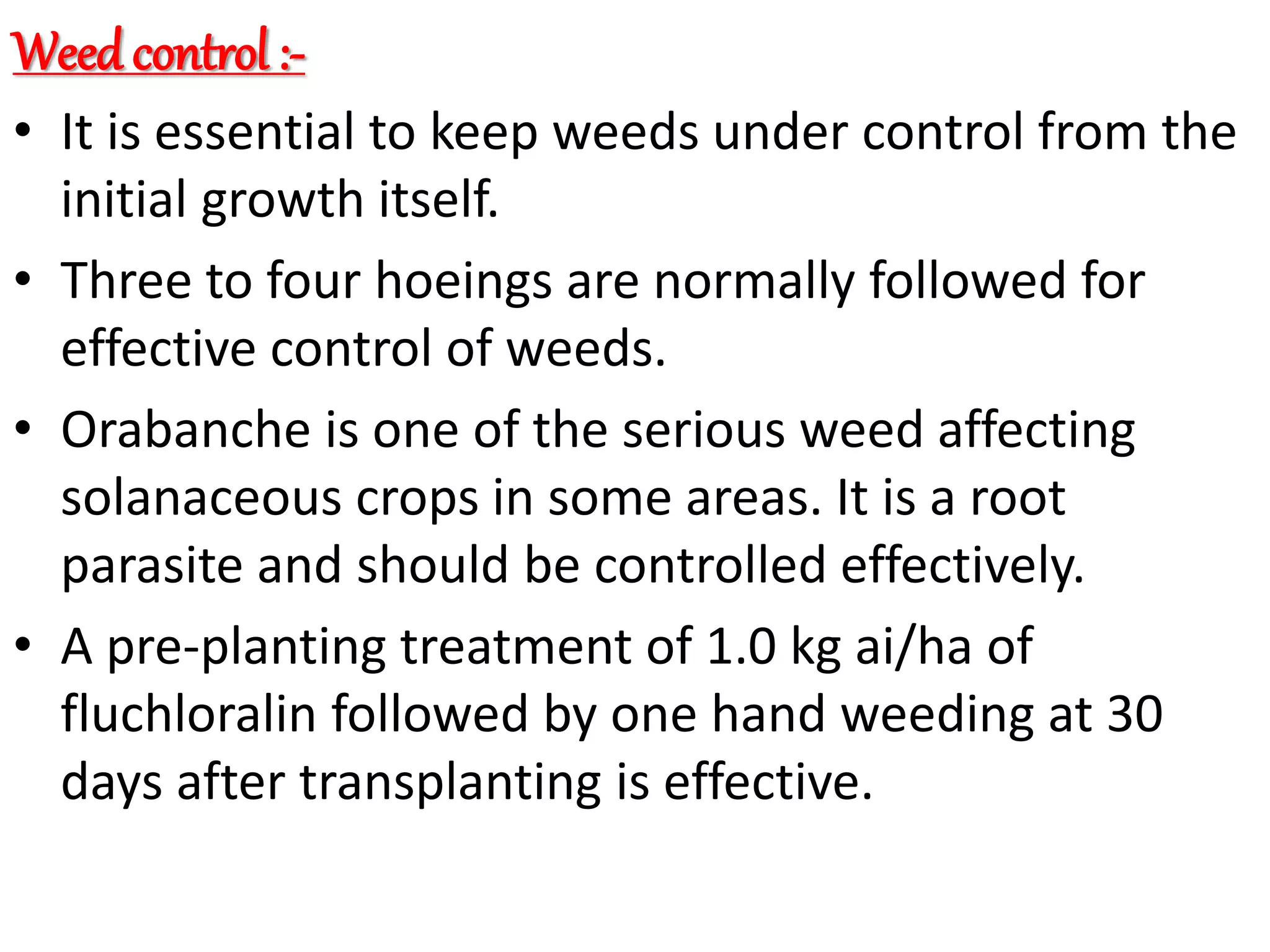 Slide 15