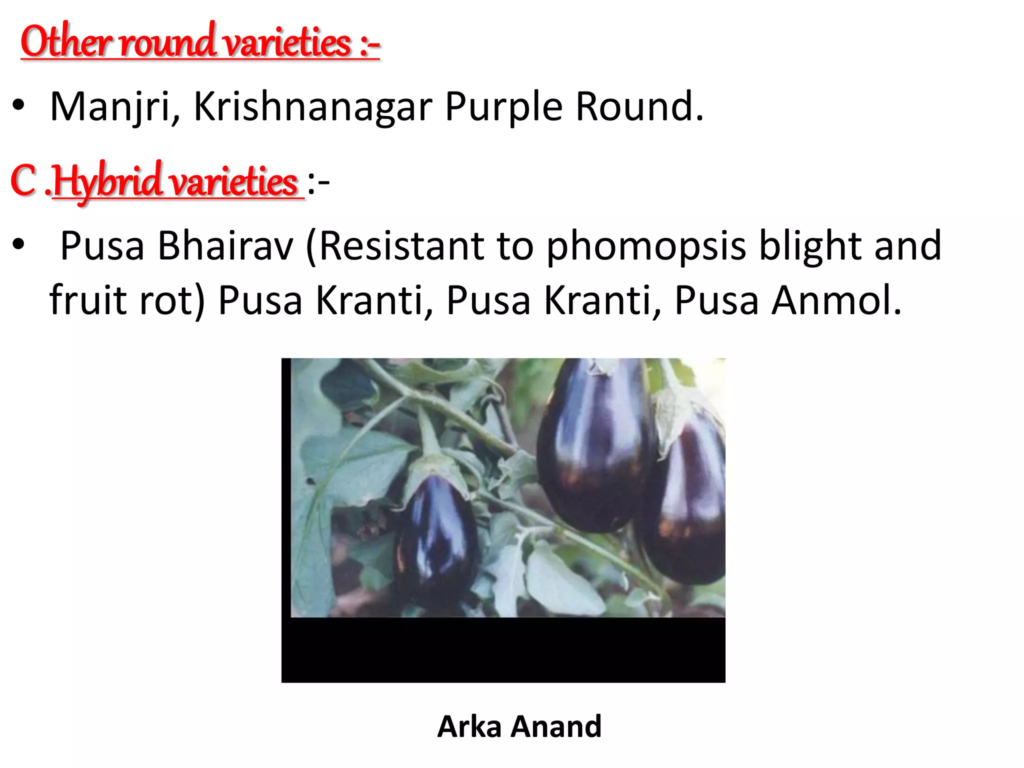 Slide 8