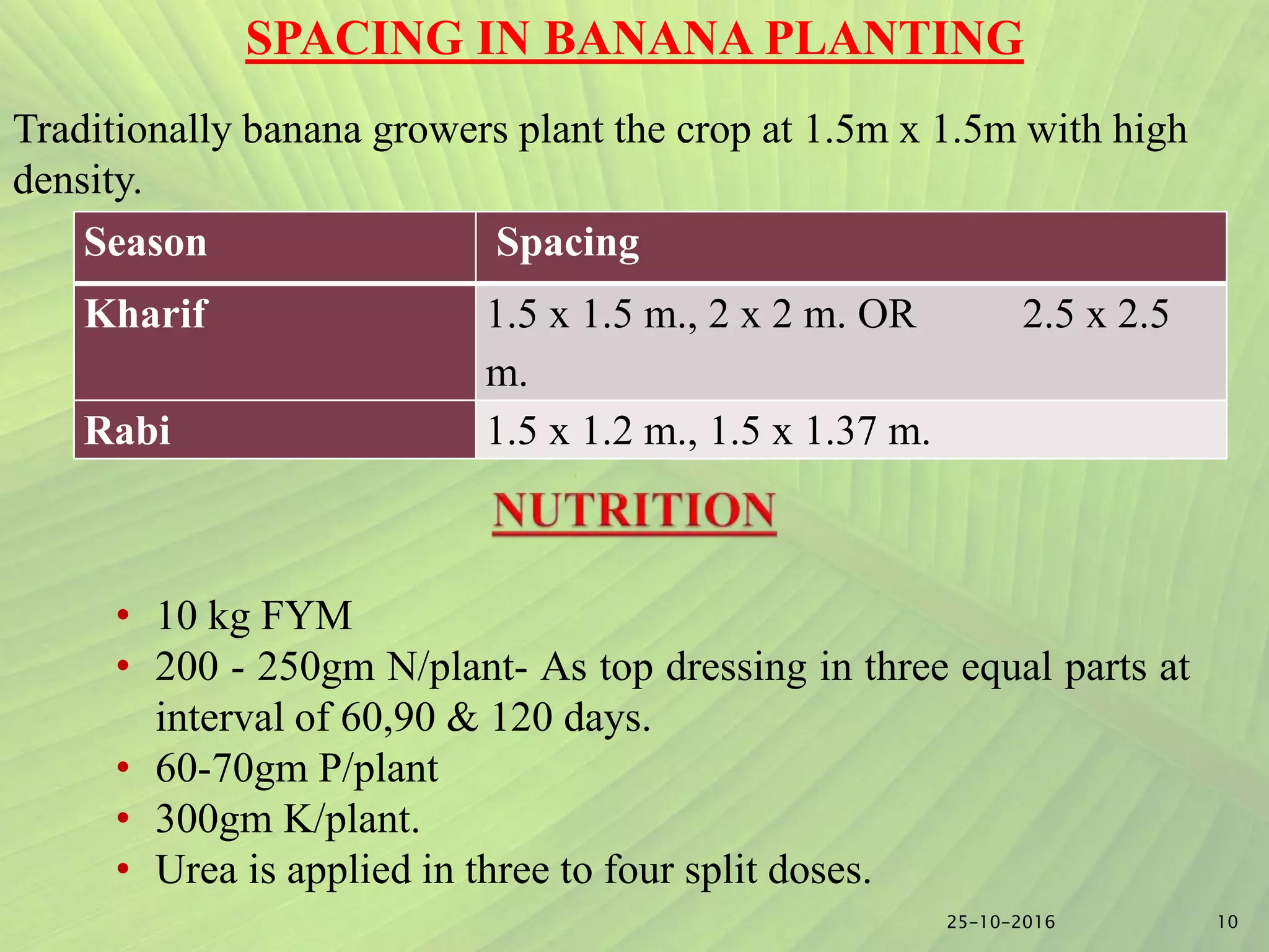 Slide 9