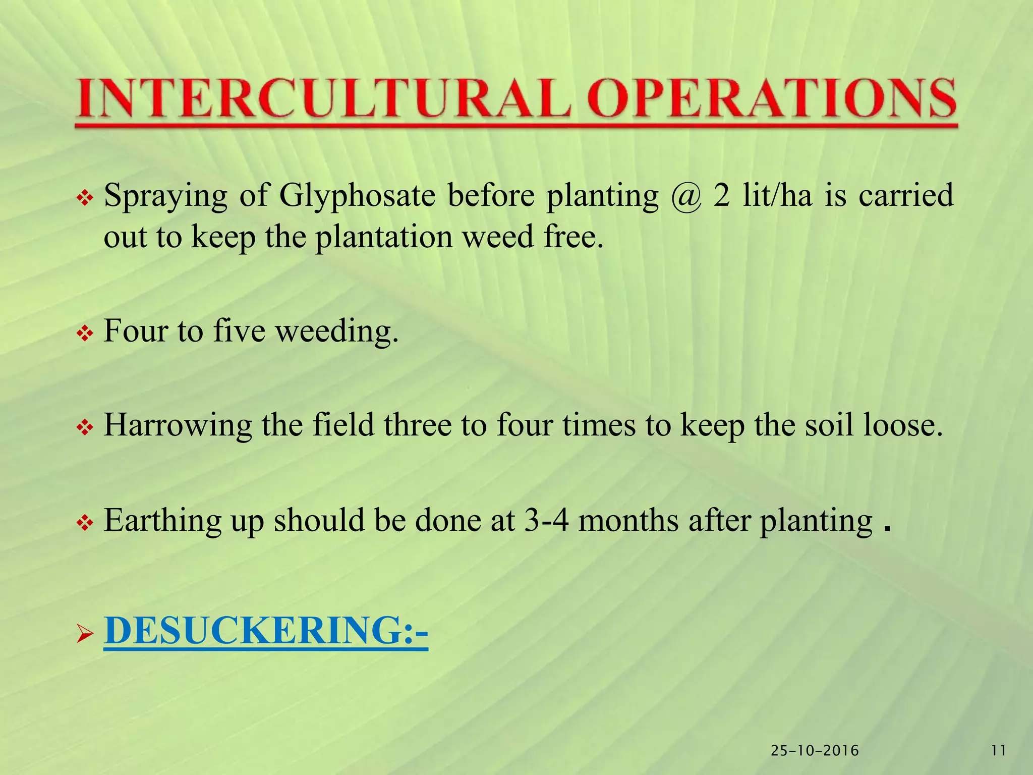 Slide 10
