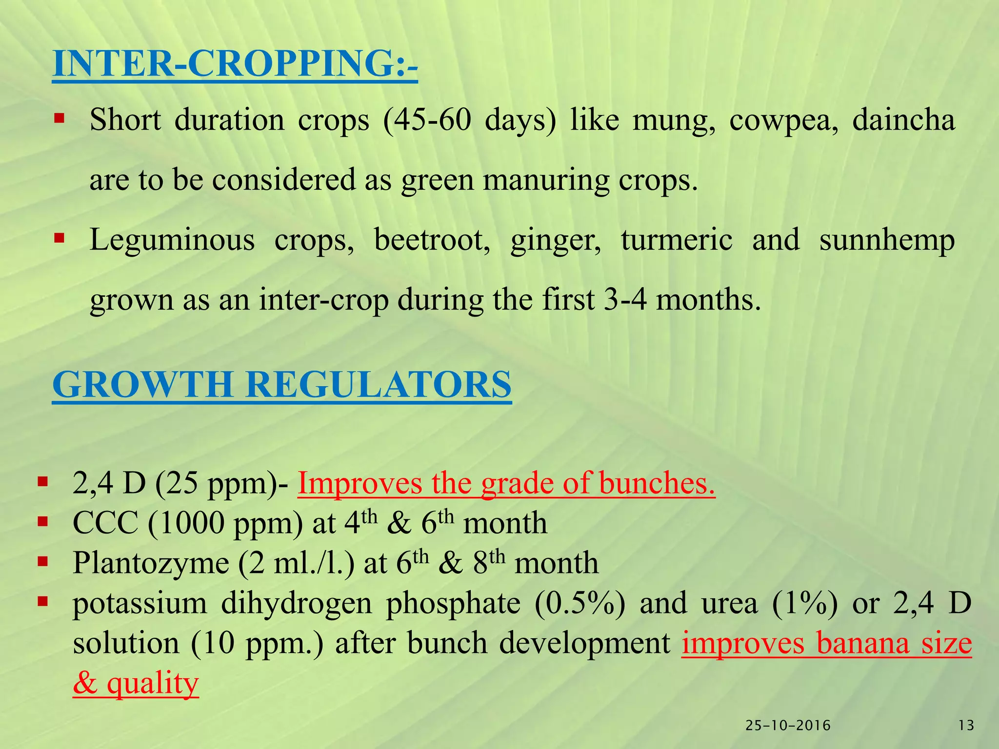 Slide 12