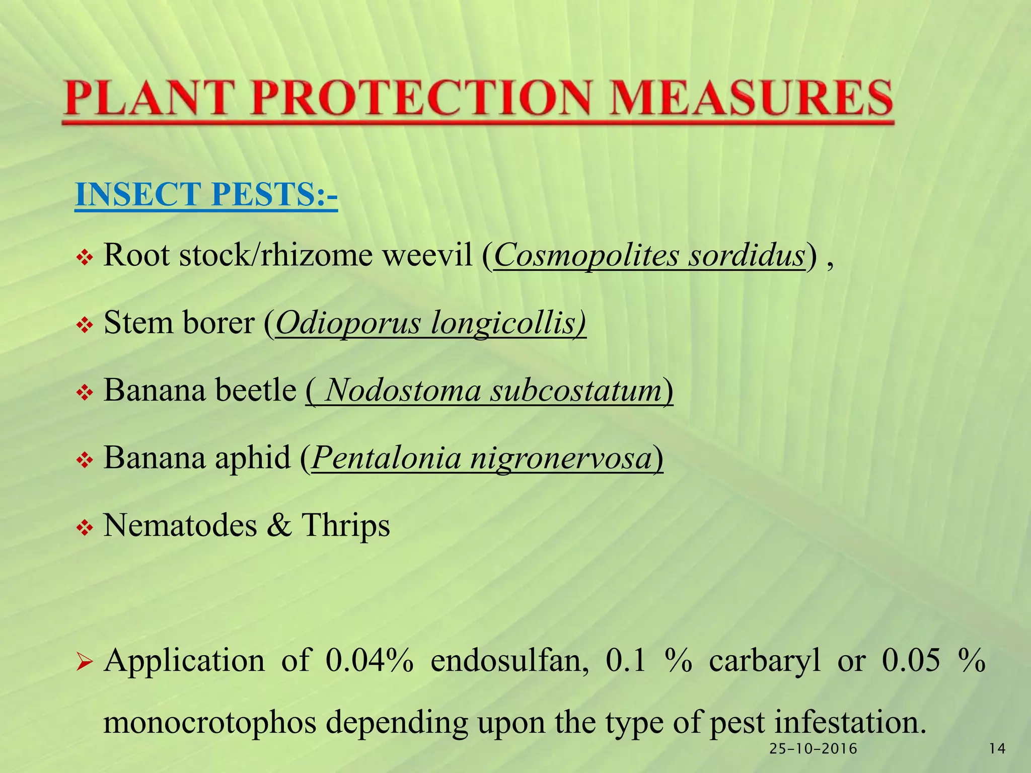 Slide 13