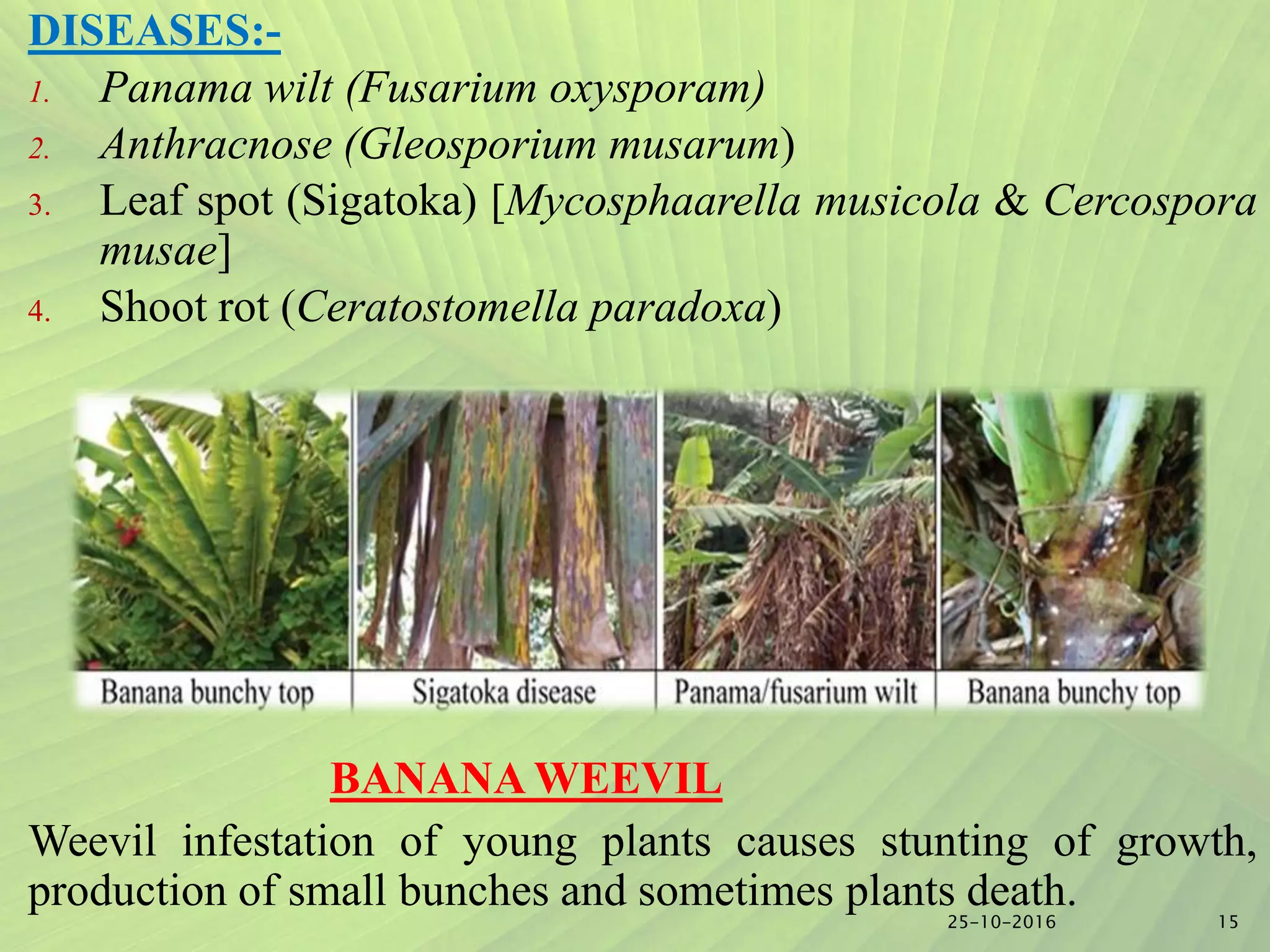 Slide 14