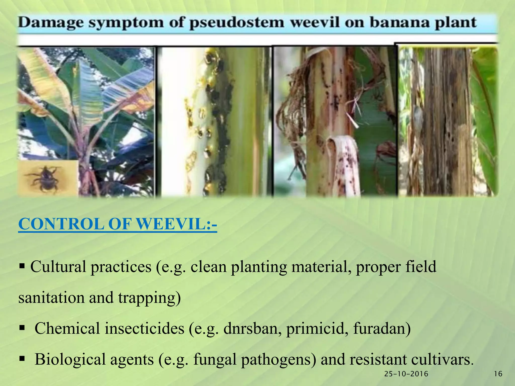 Slide 15