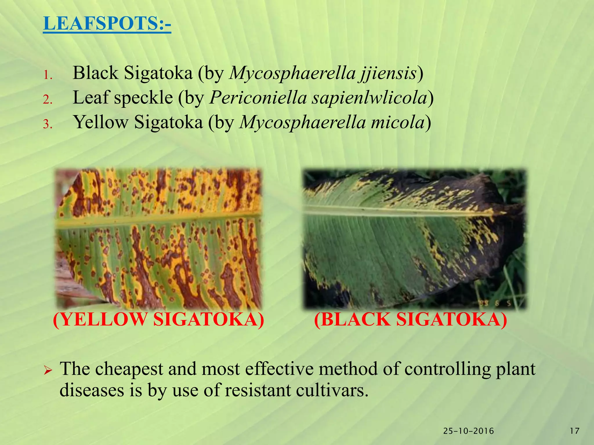 Slide 16