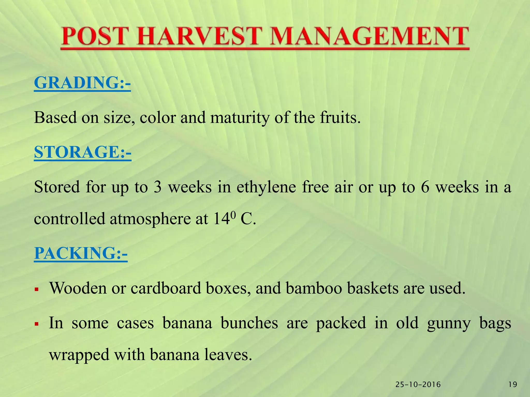Slide 18