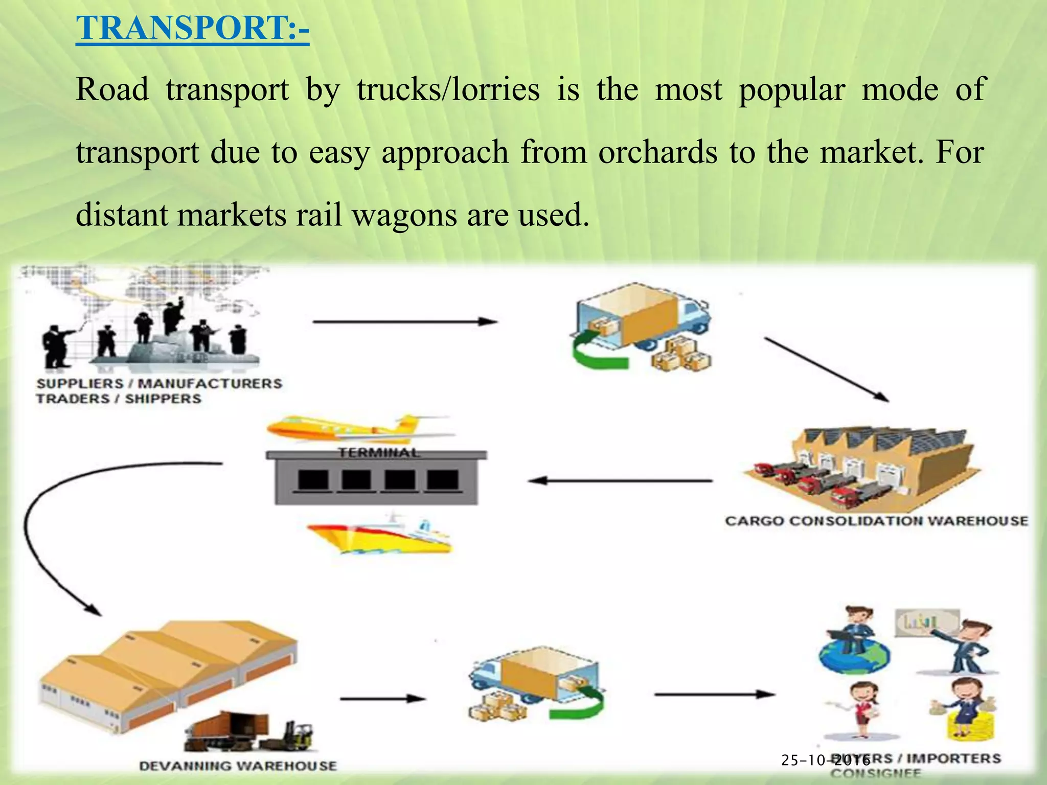 Slide 19