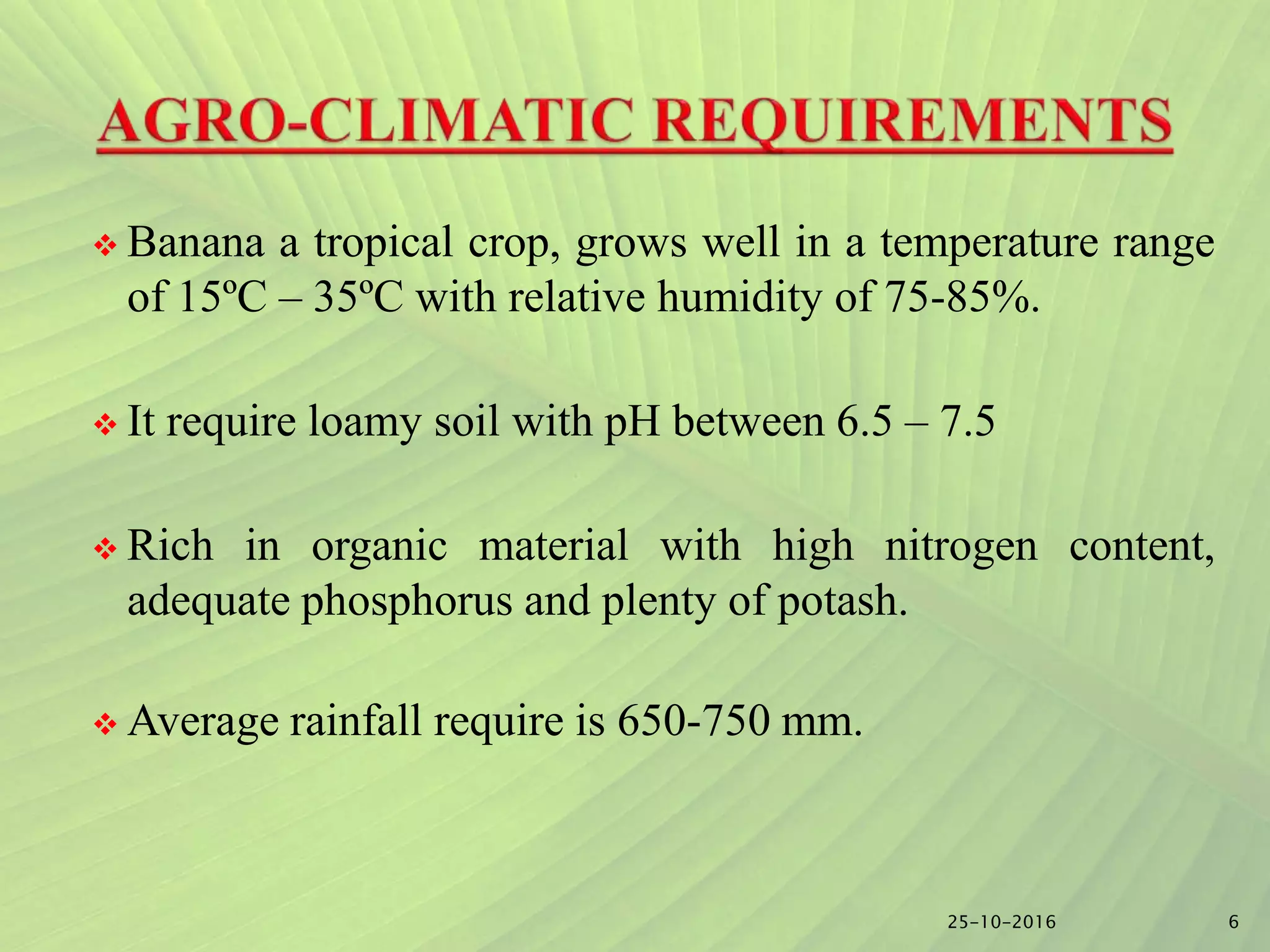 Slide 5
