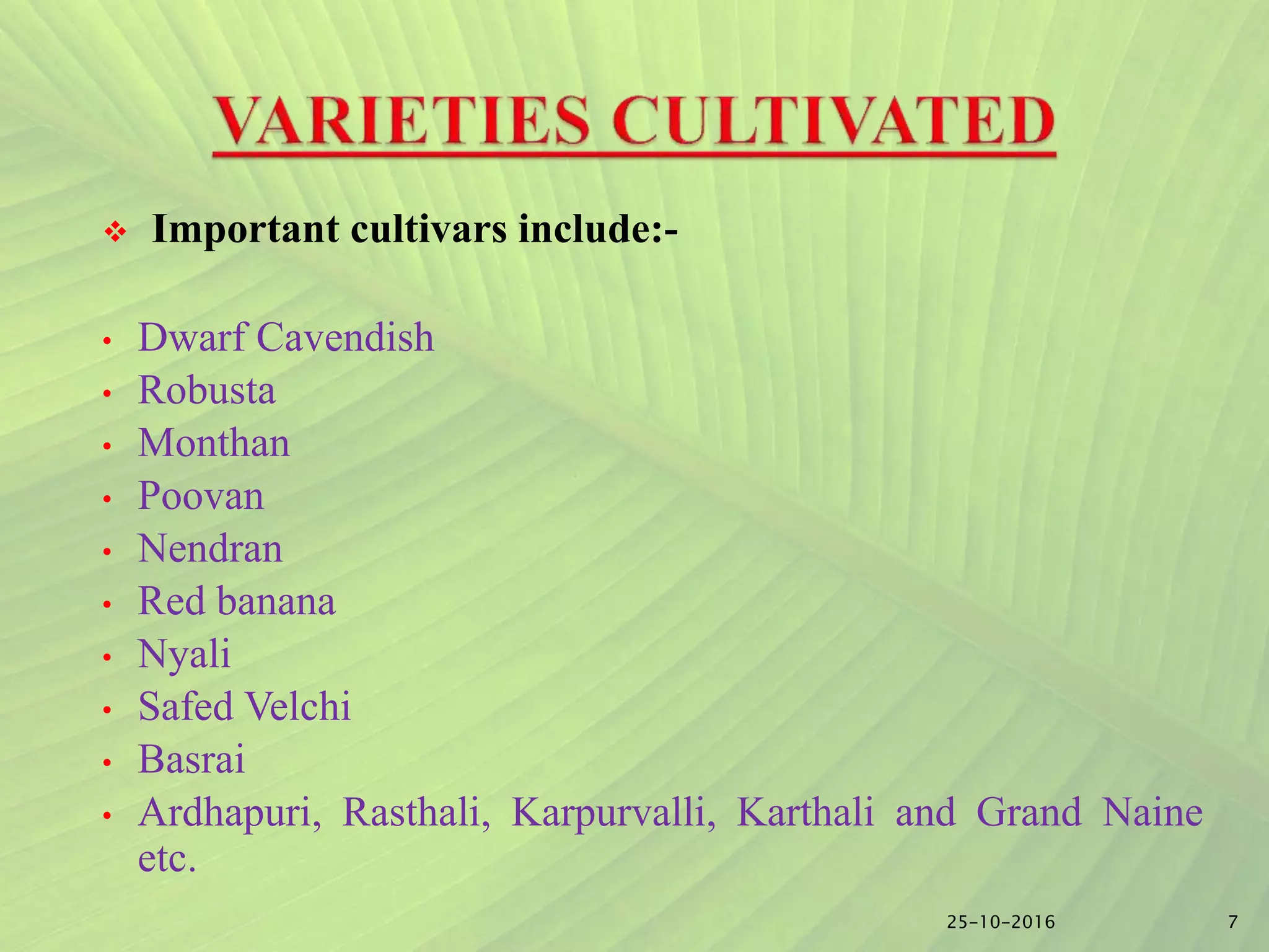 Slide 6