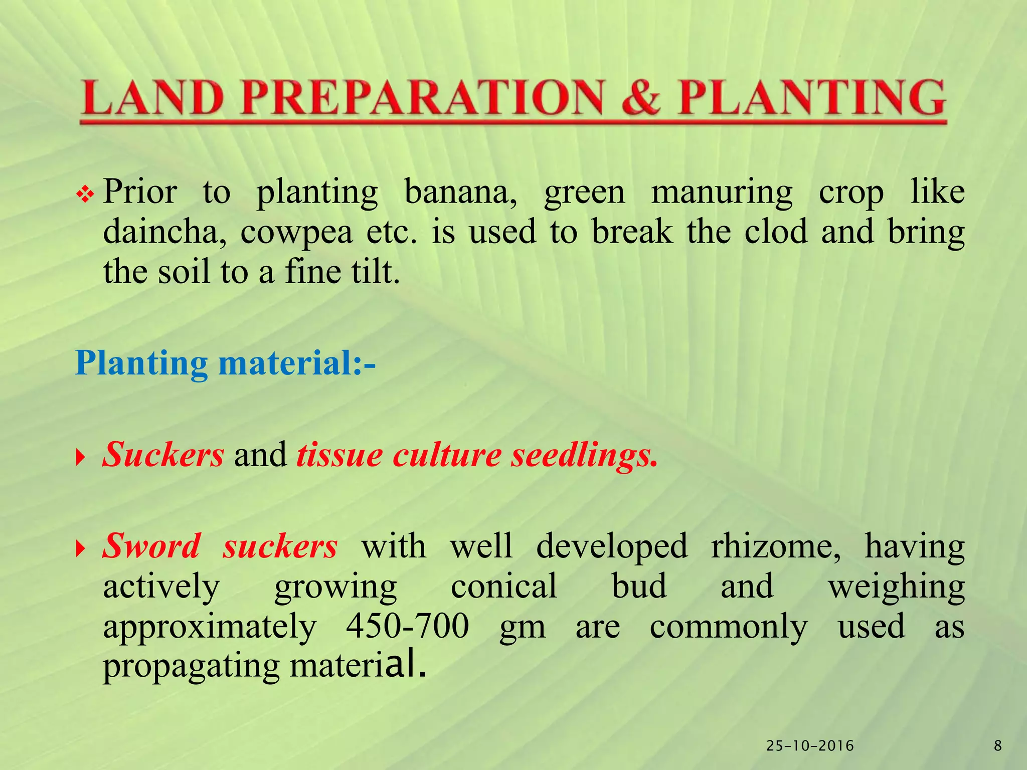 Slide 7