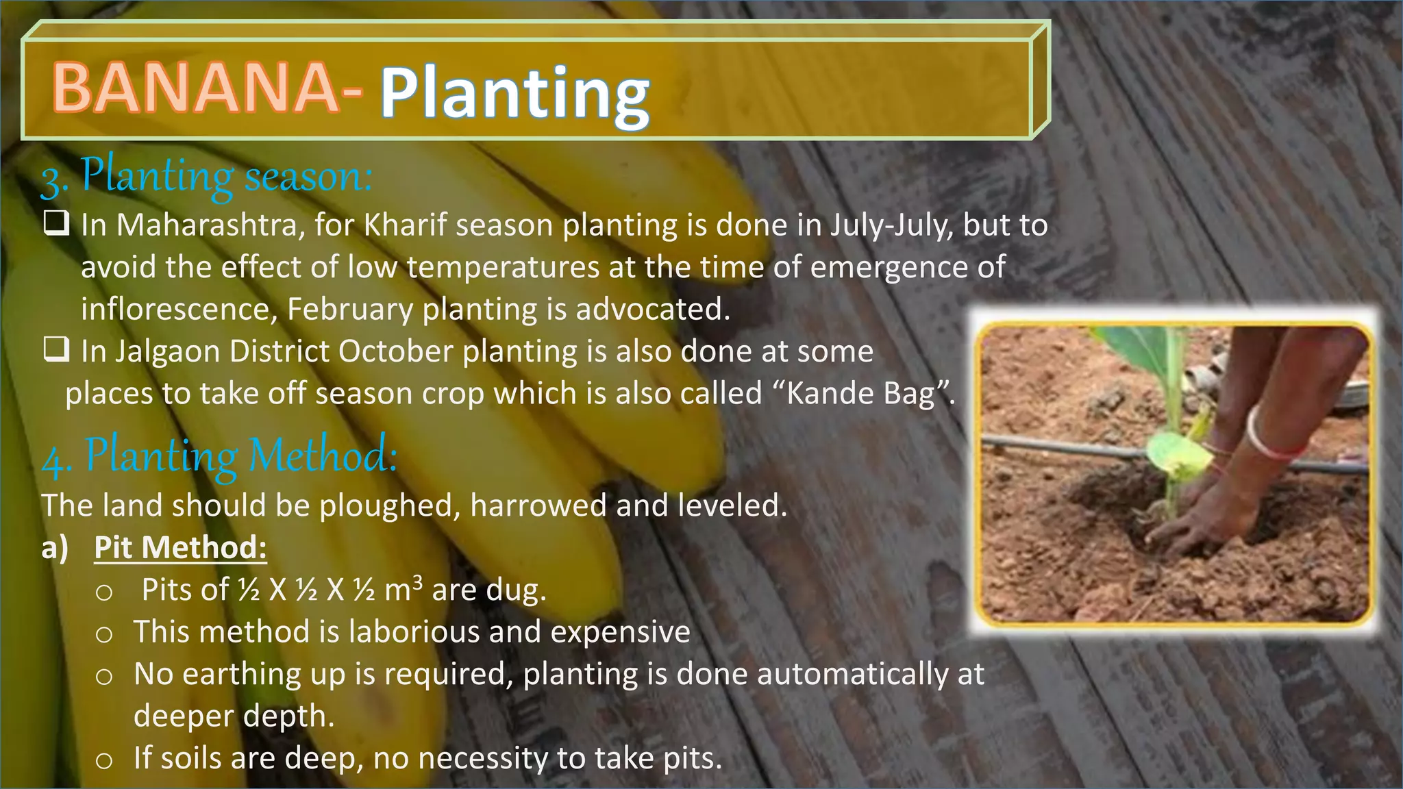 Slide 9