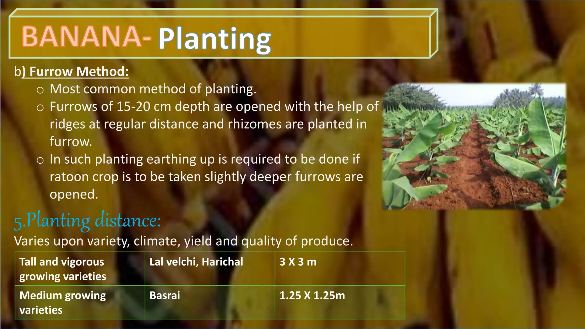 Slide 10