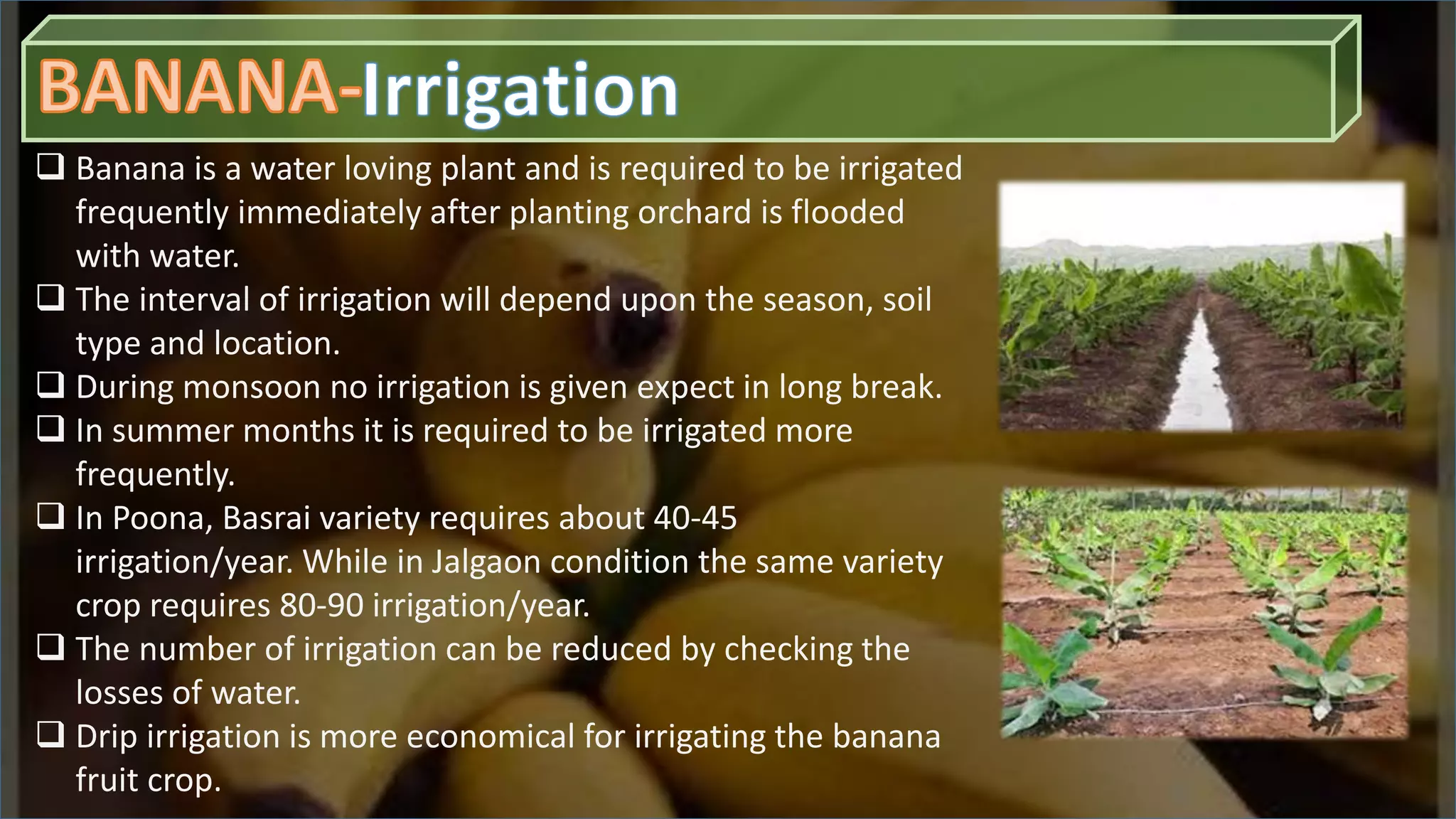 Slide 11