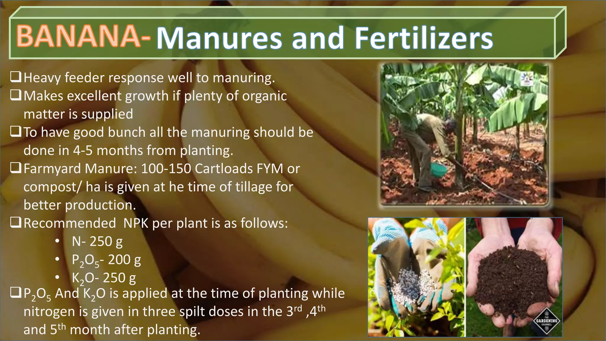 Slide 12