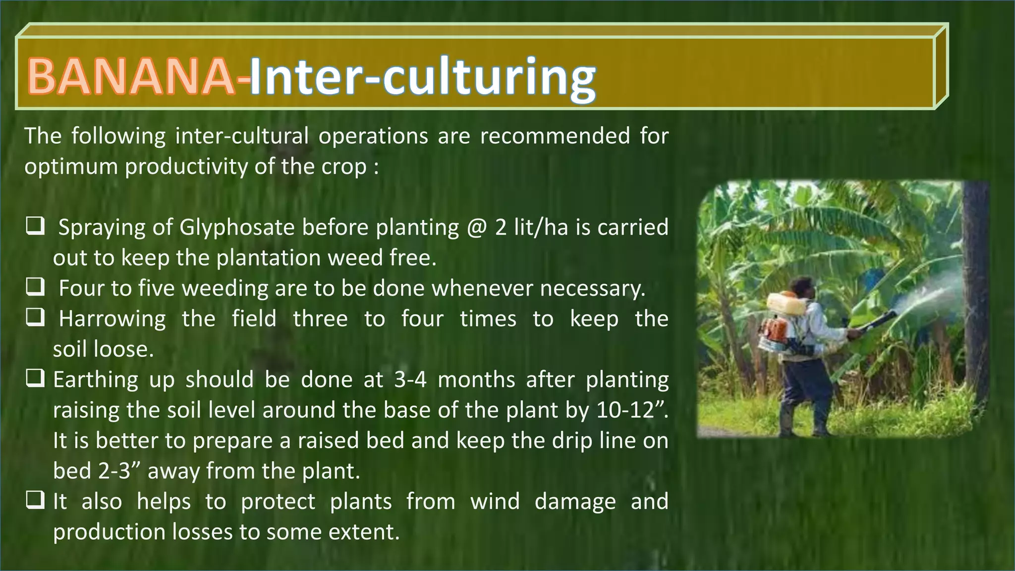 Slide 13