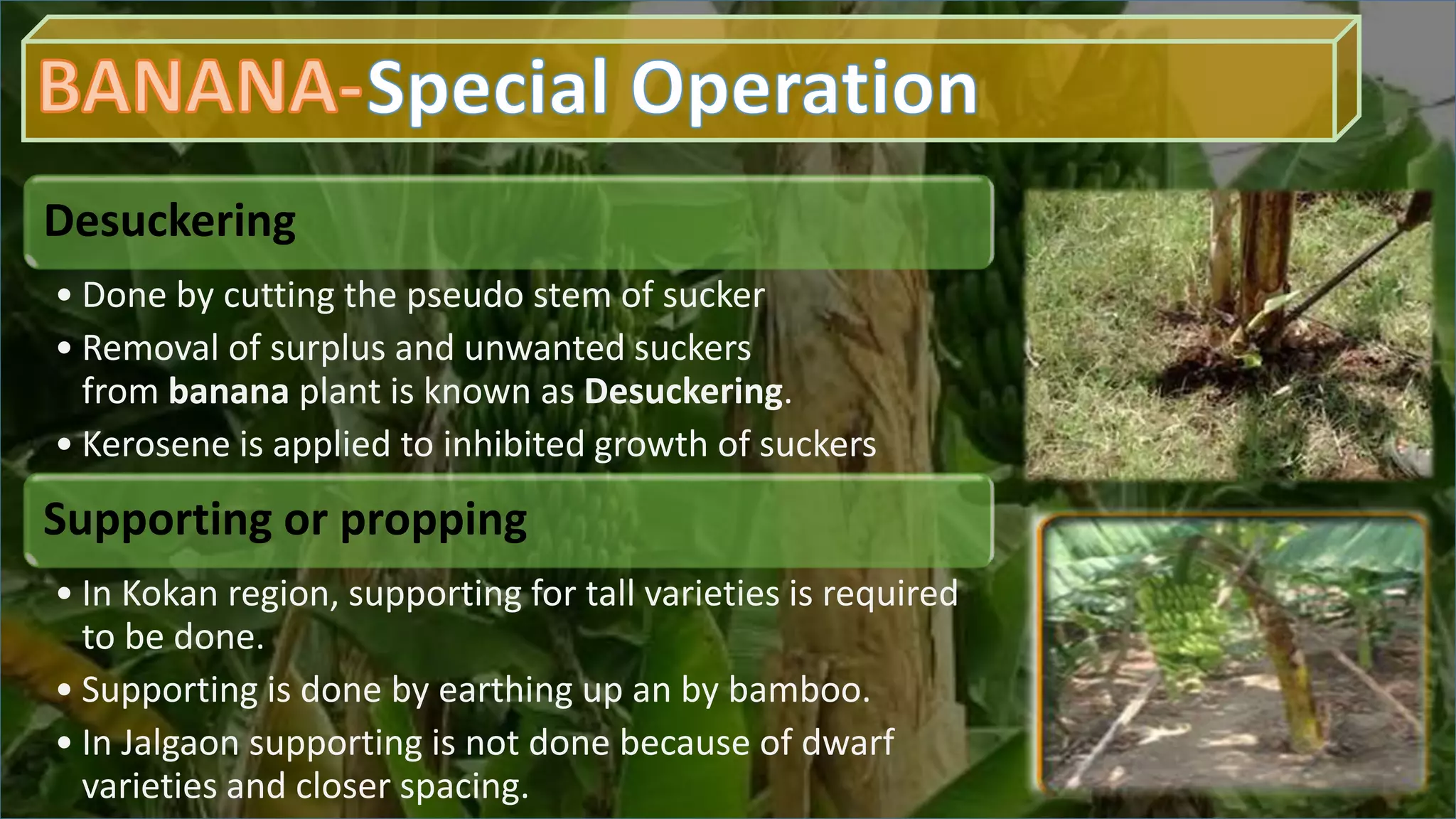 Slide 14