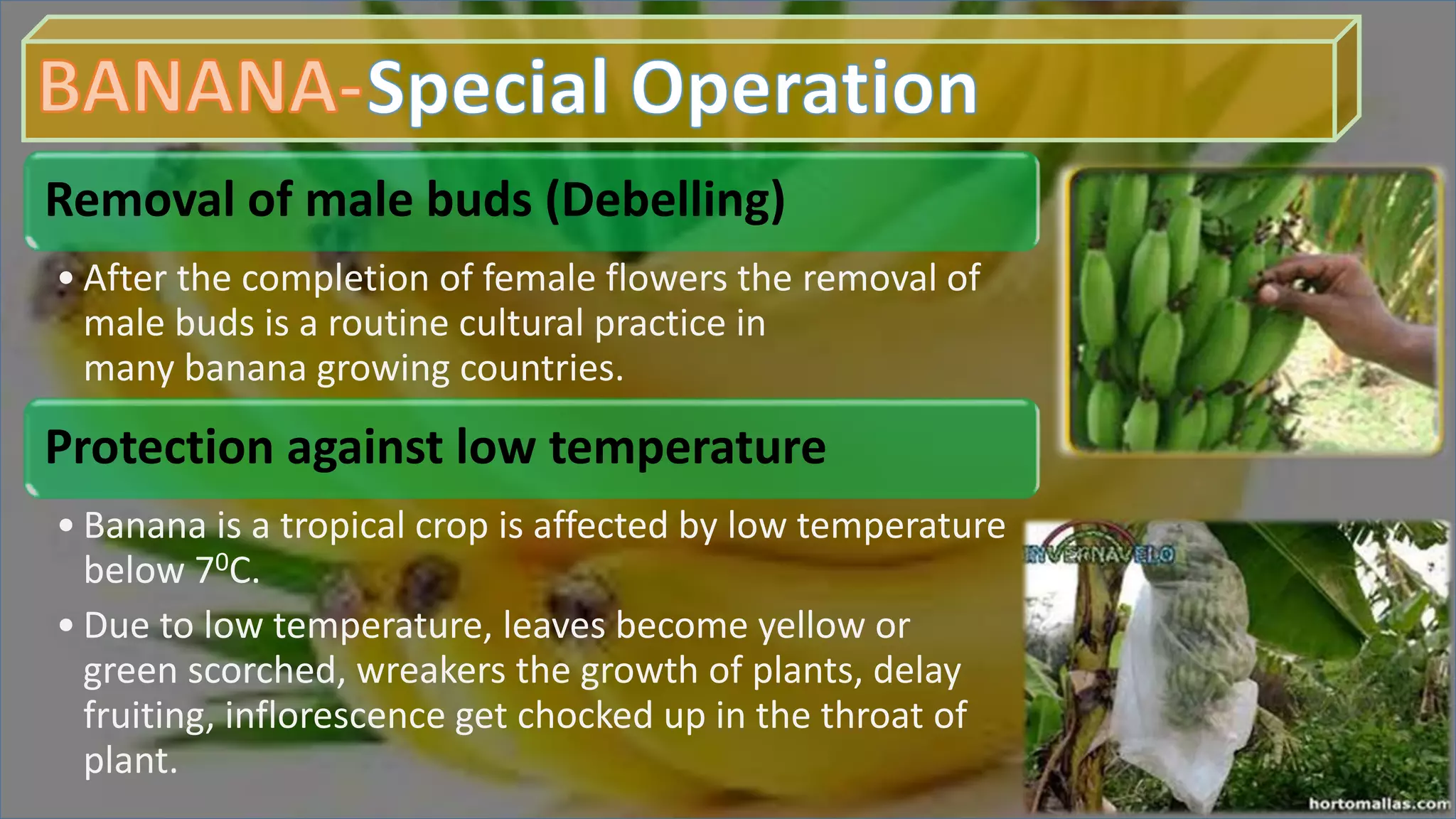 Slide 15