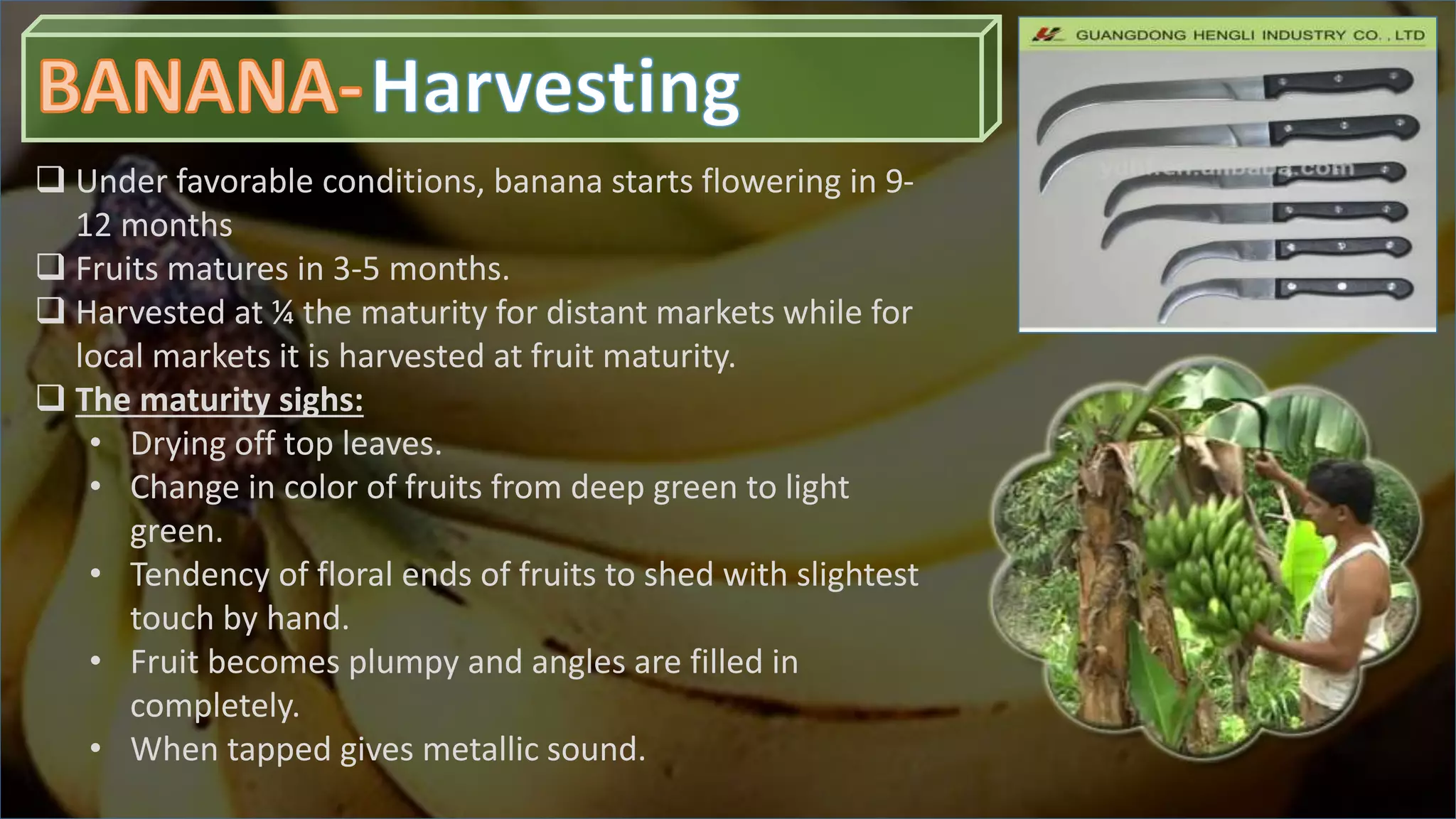 Slide 16