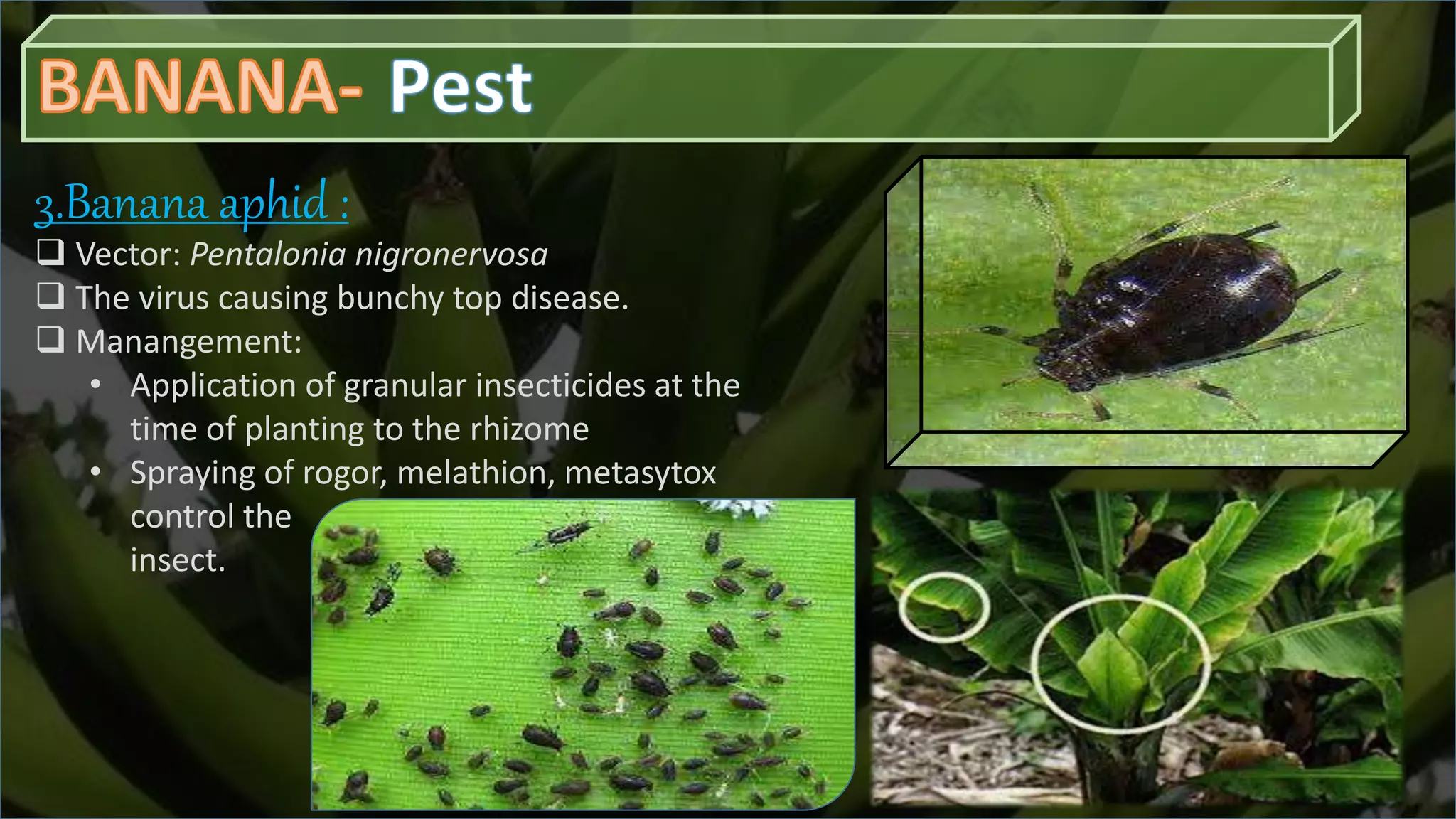 Slide 19
