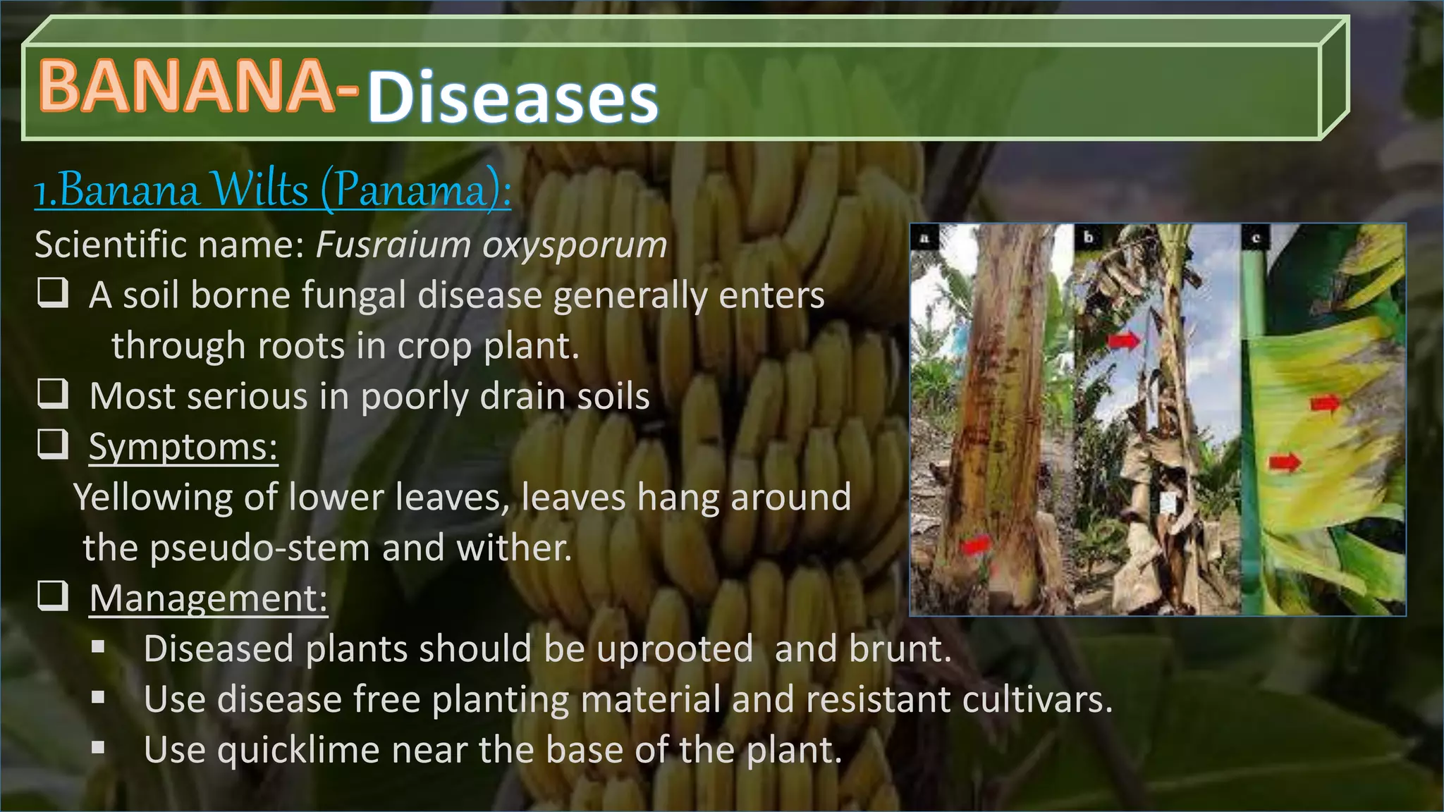 Slide 20