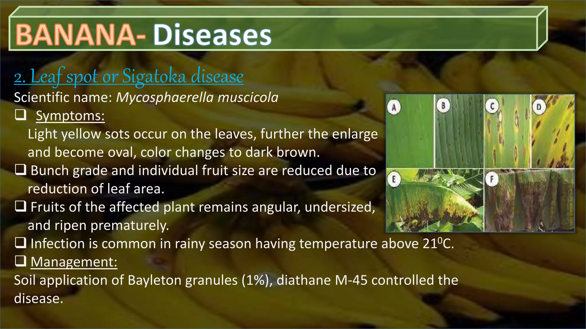 Slide 21