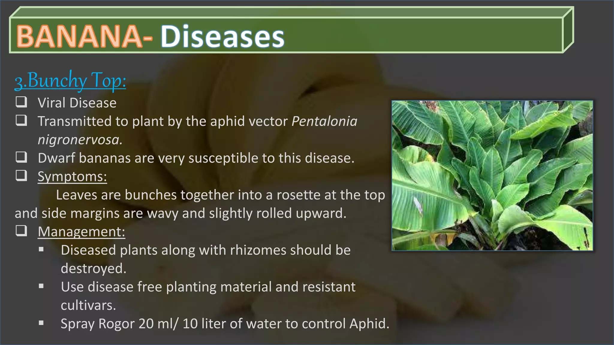 Slide 22