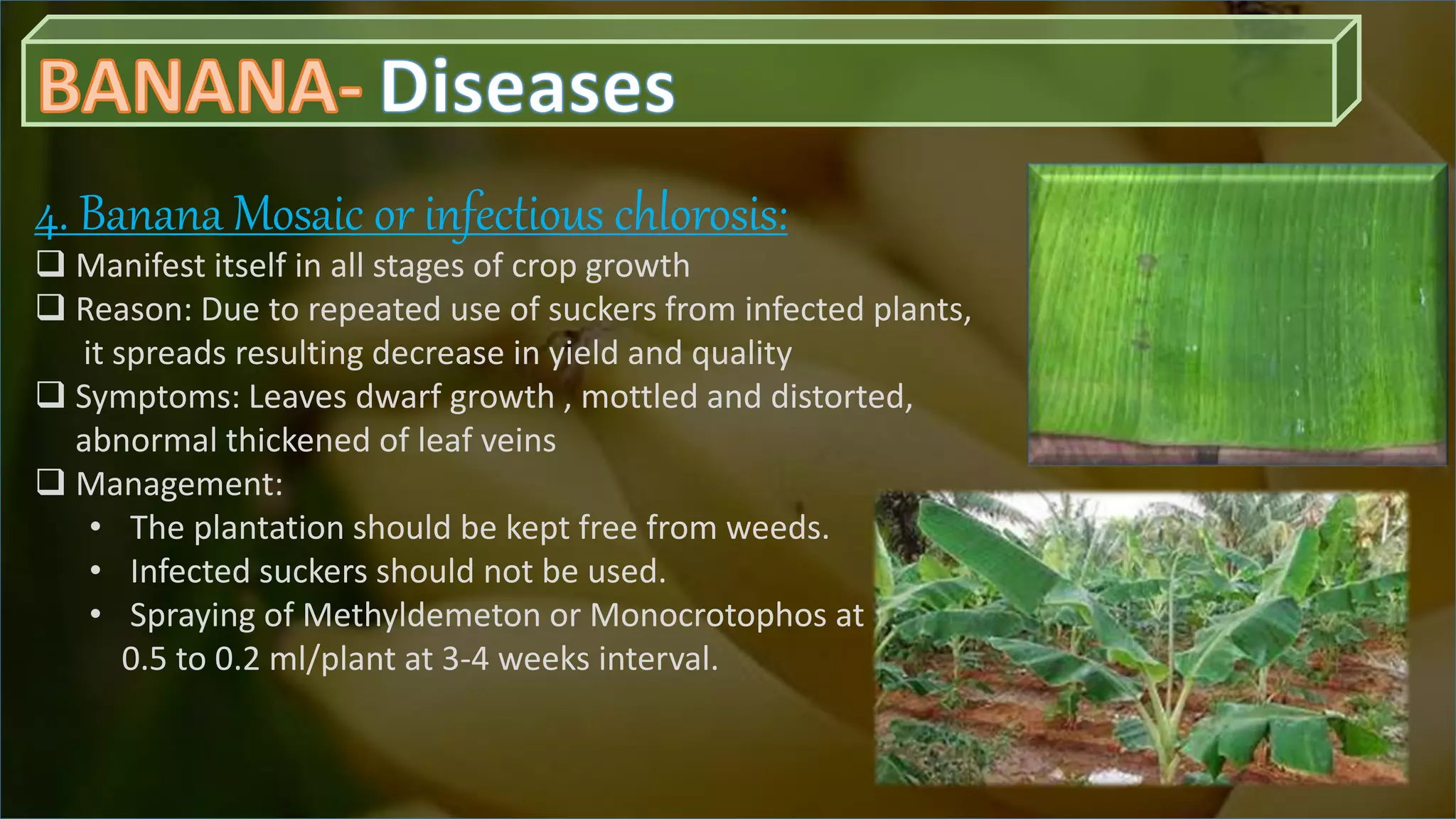 Slide 23
