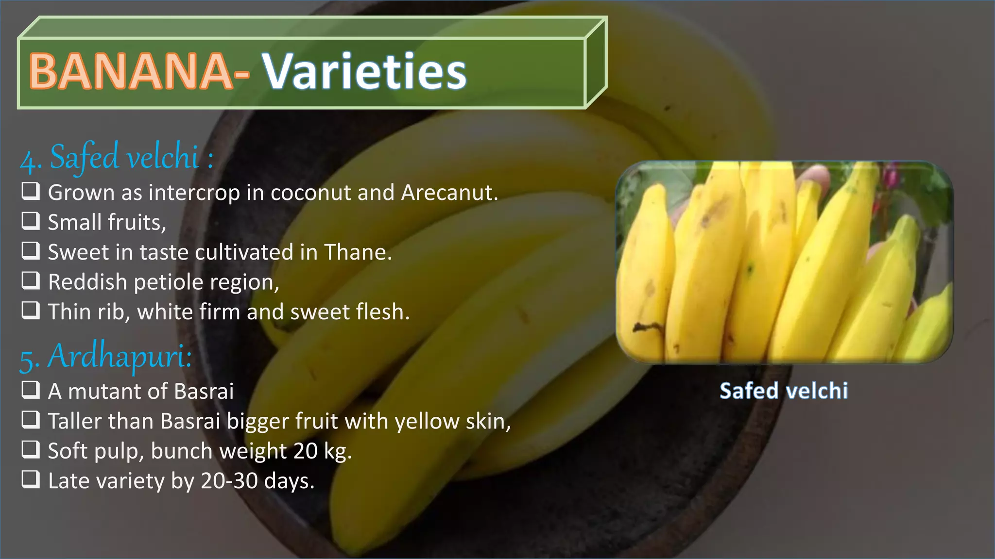 Slide 6