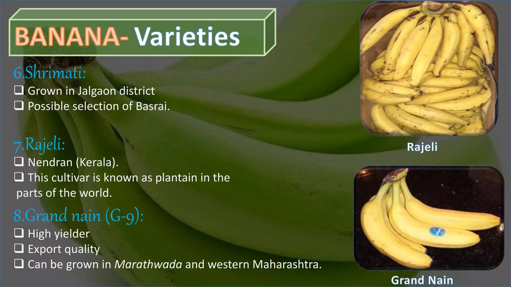 Slide 7