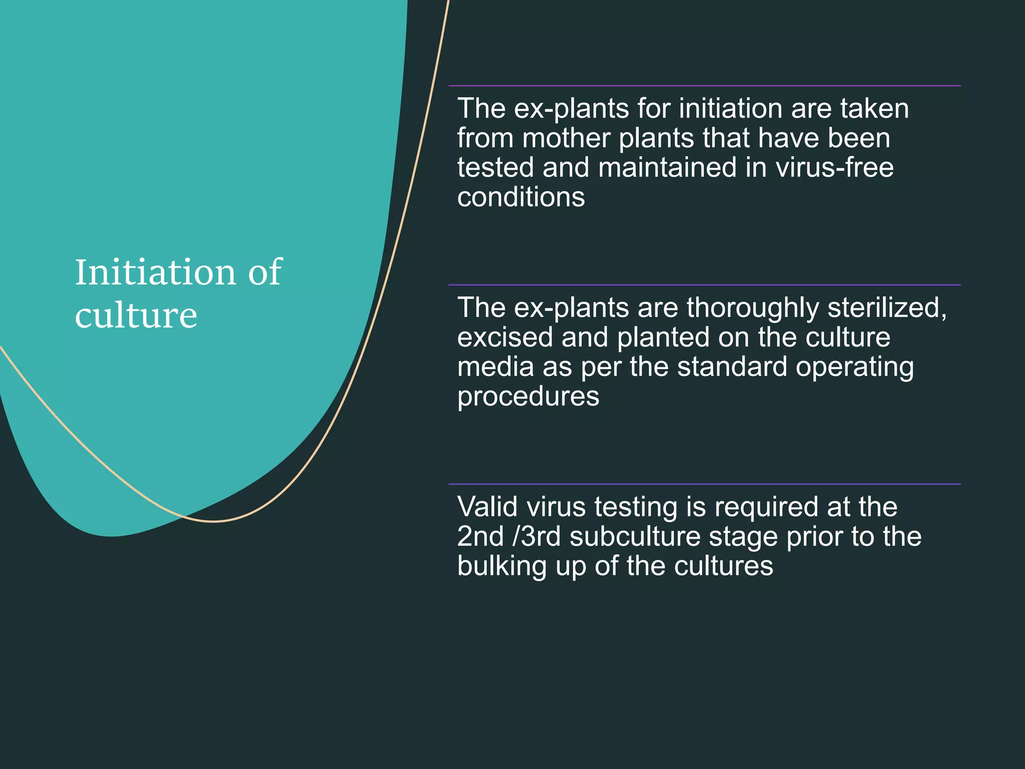 Slide 9