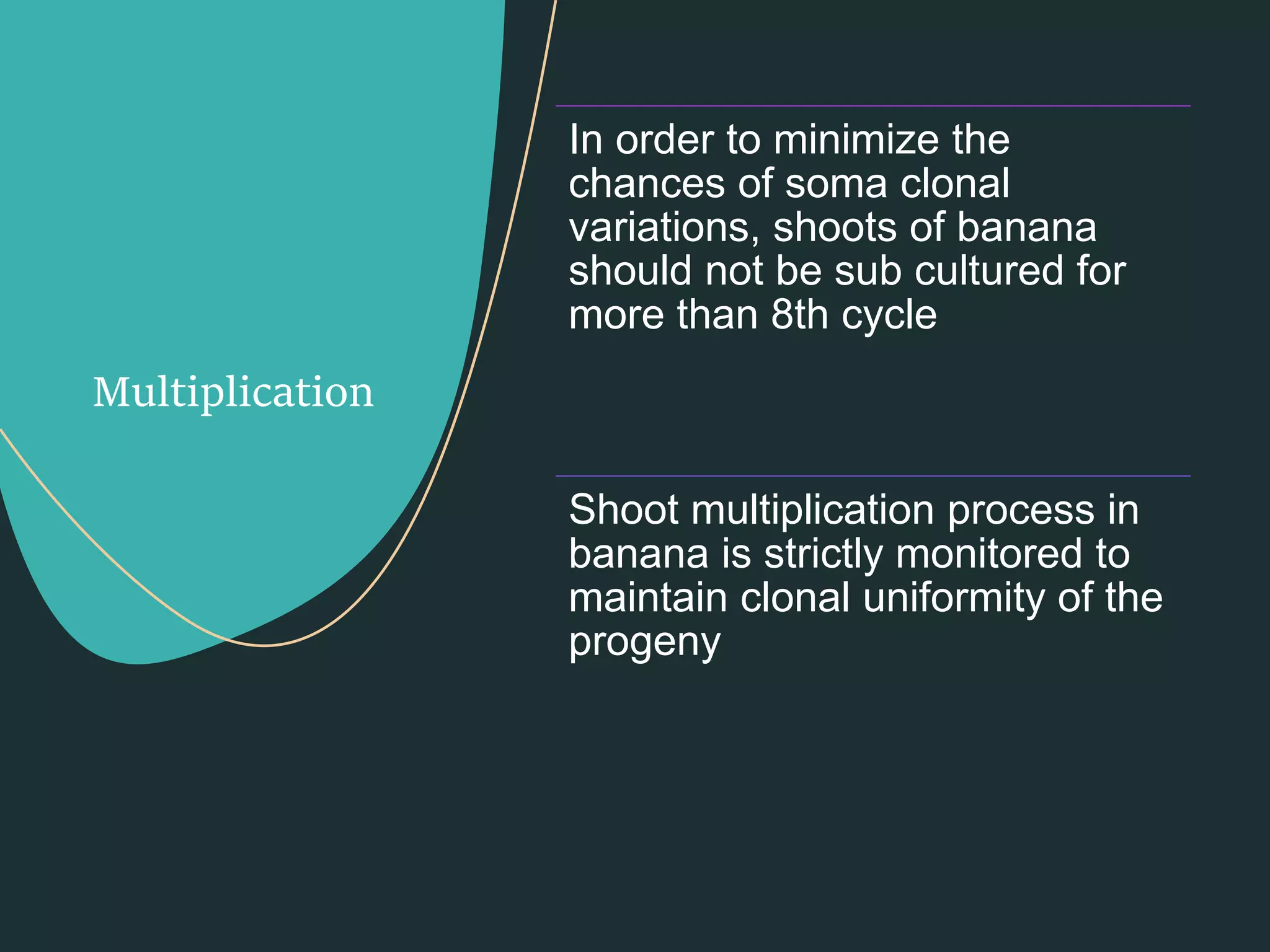 Slide 10