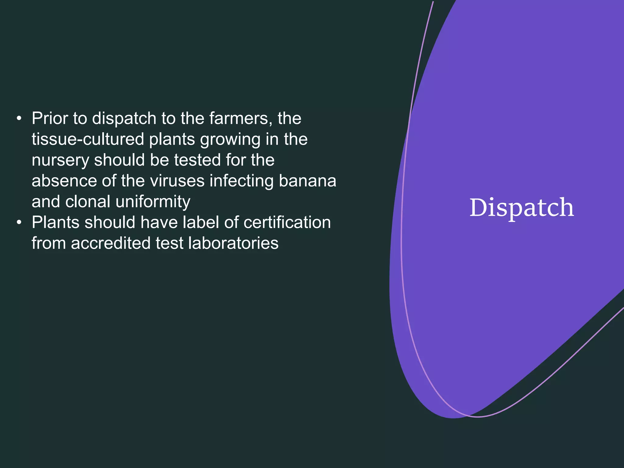 Slide 12