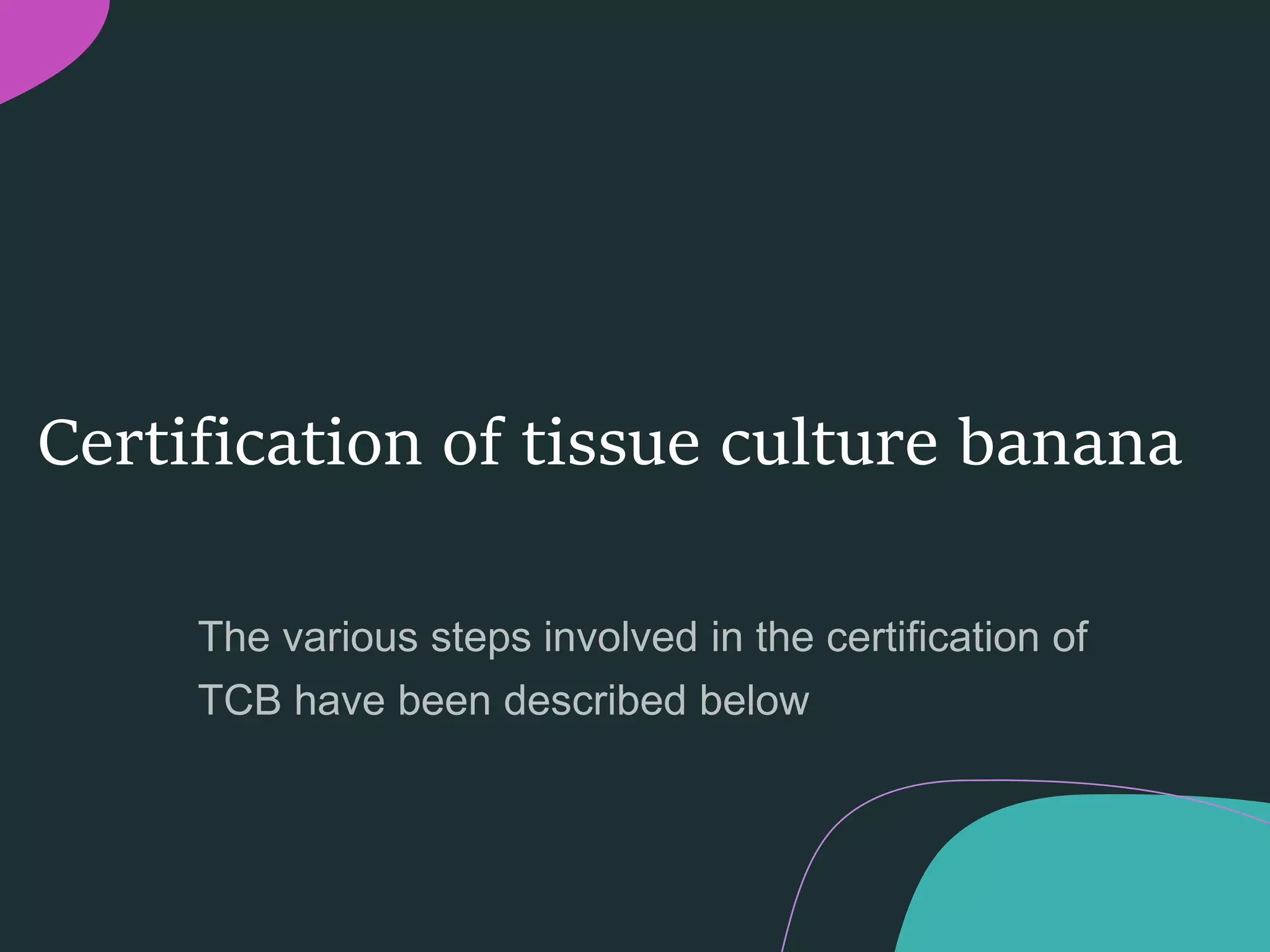 Slide 13