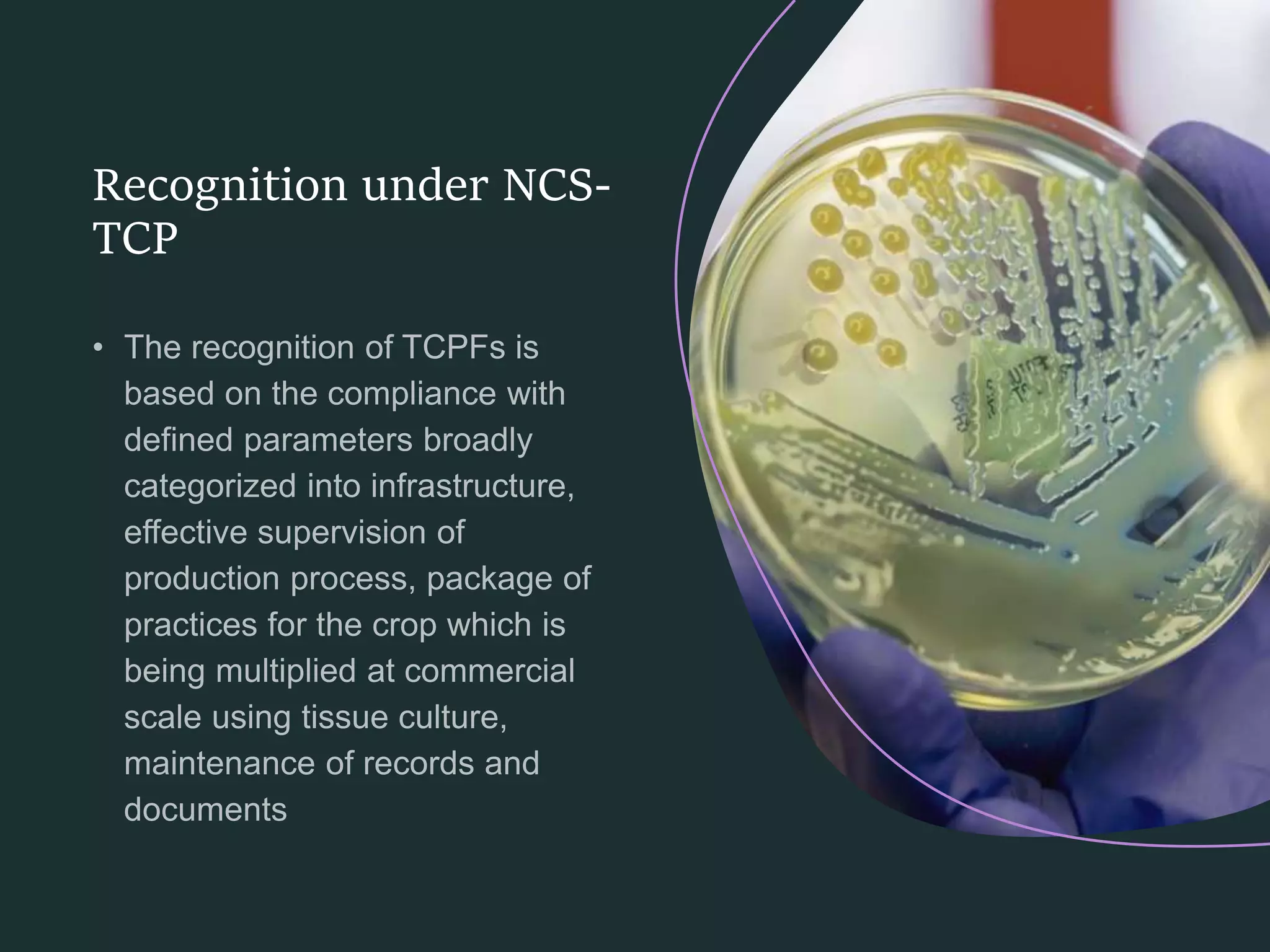 Slide 14
