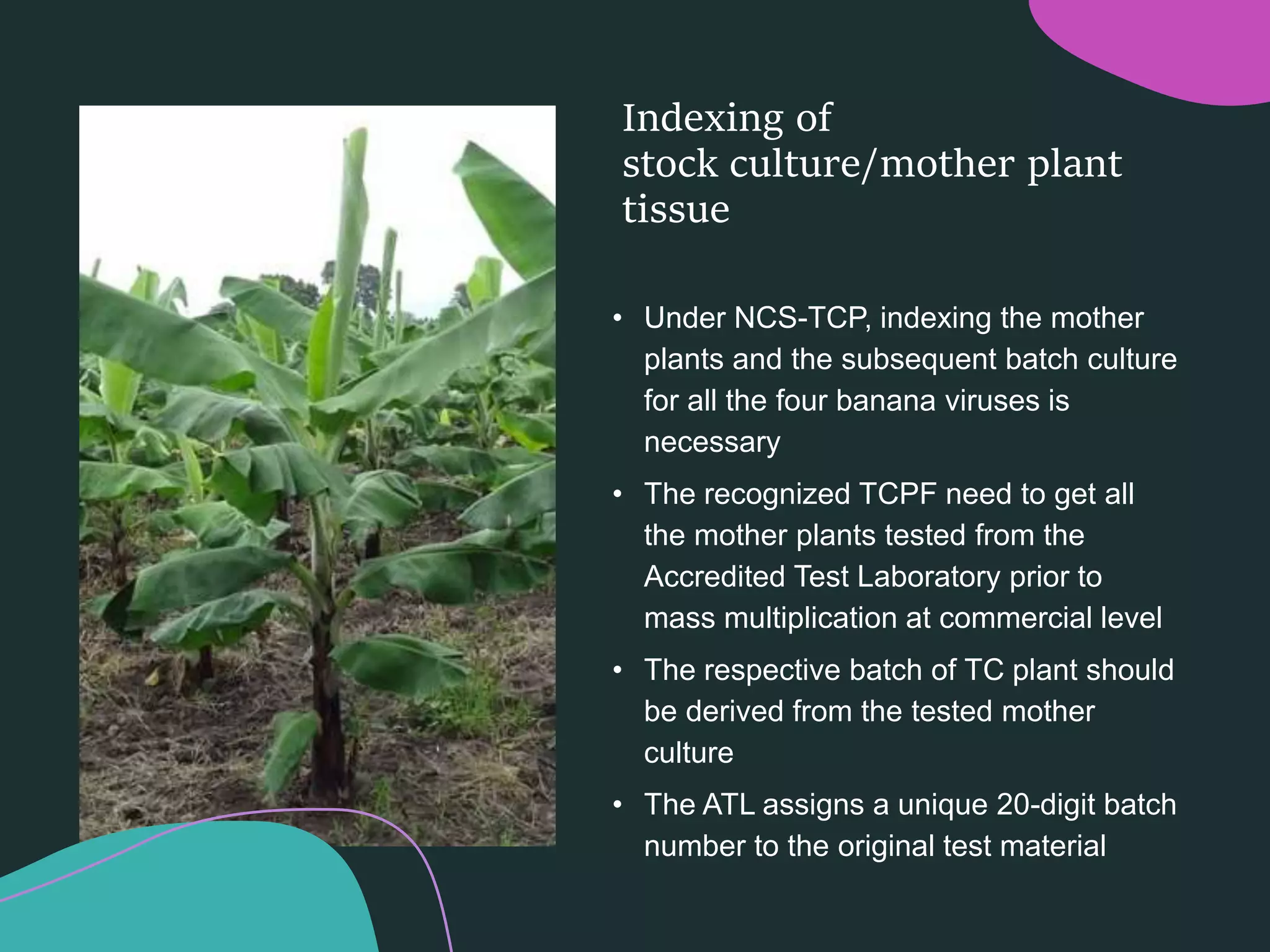 Slide 15