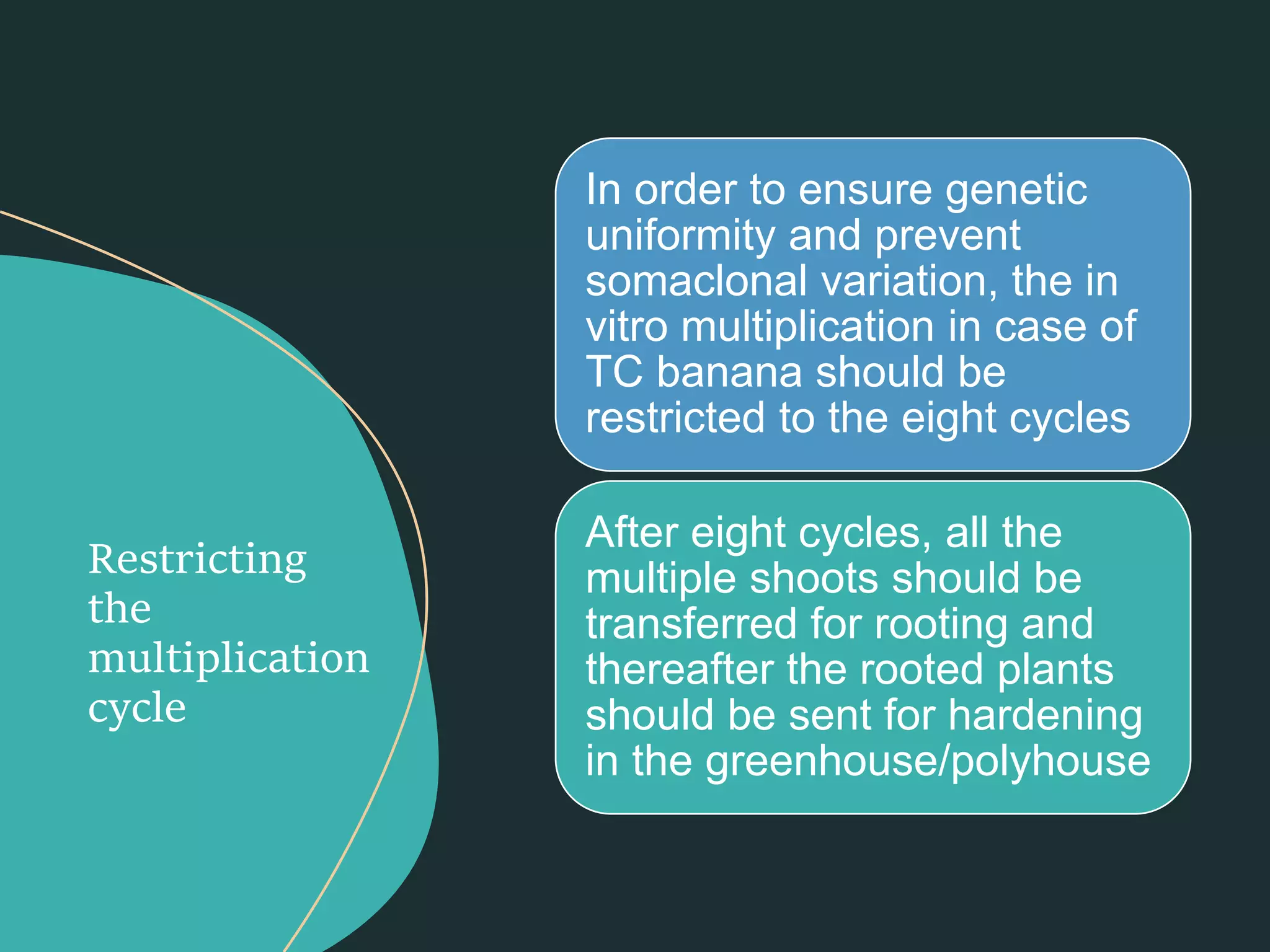 Slide 16