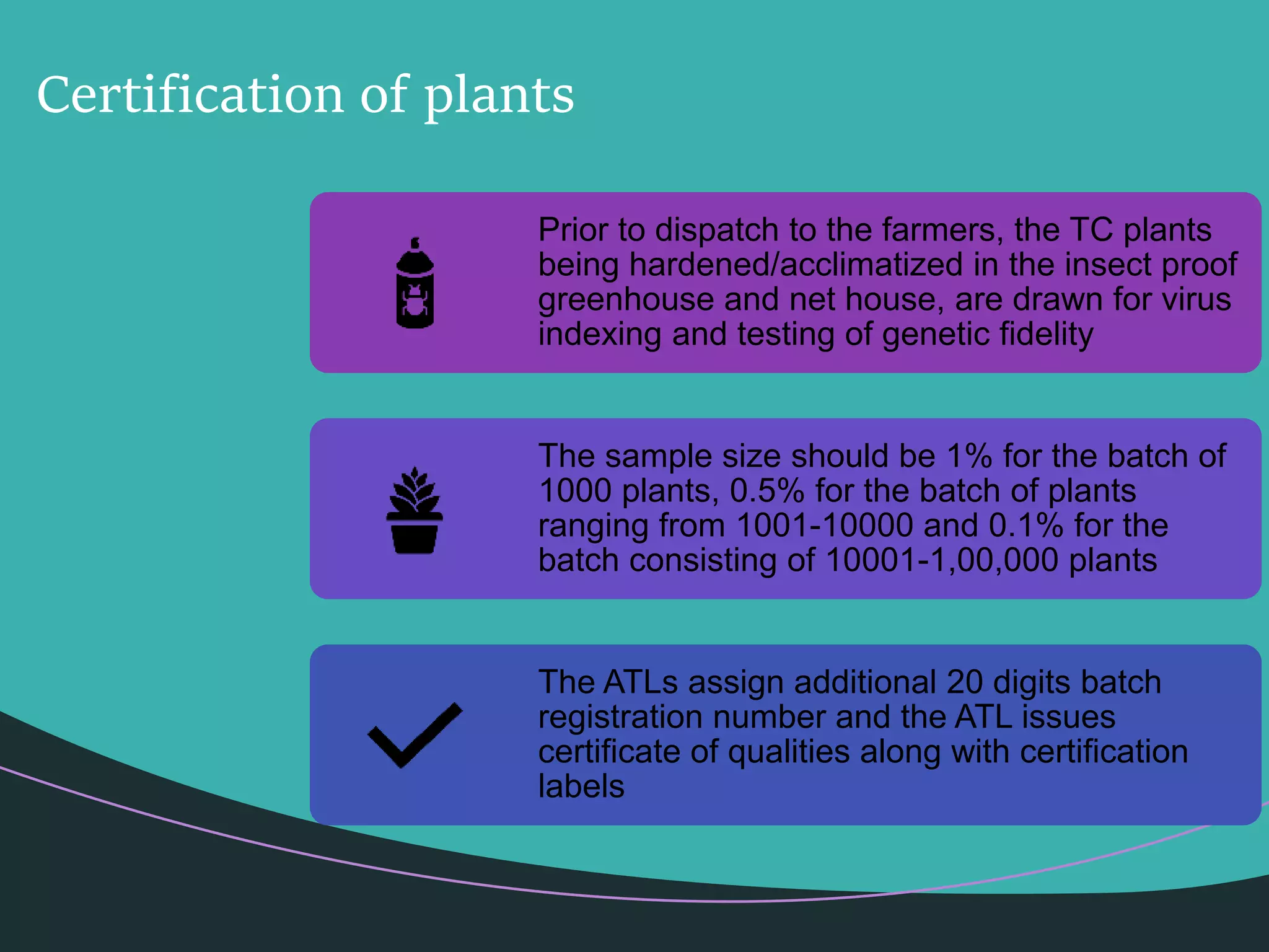 Slide 17