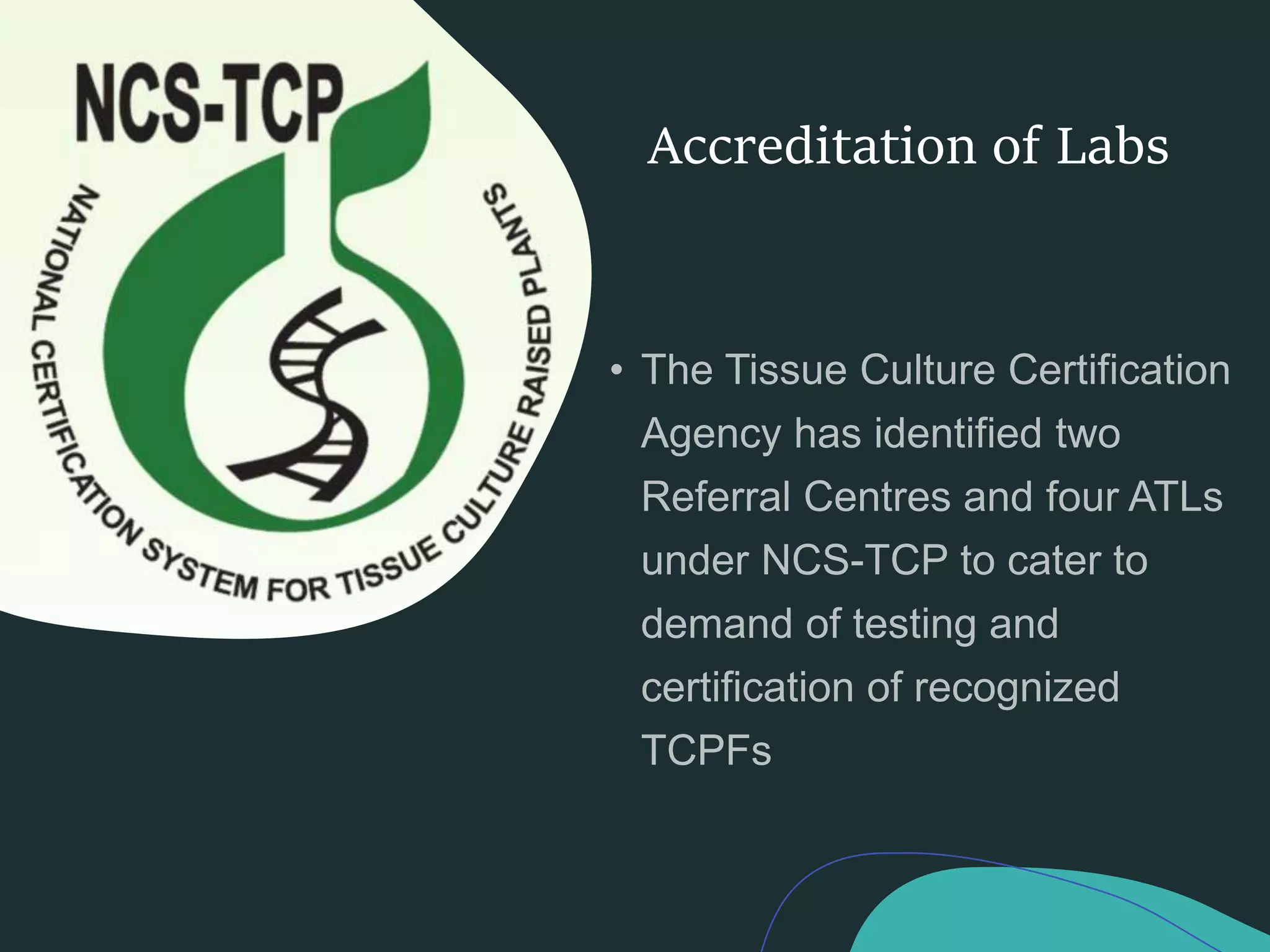 Slide 18