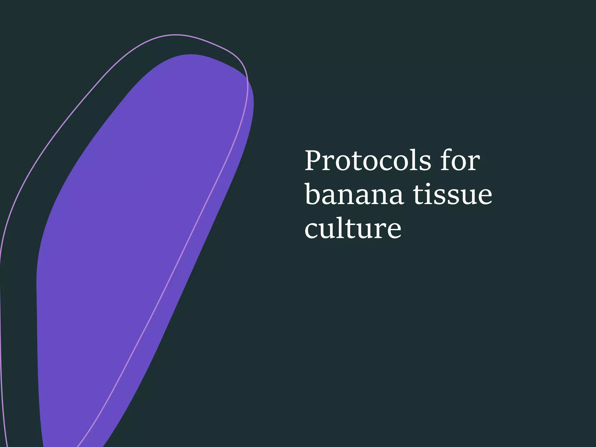 Slide 7