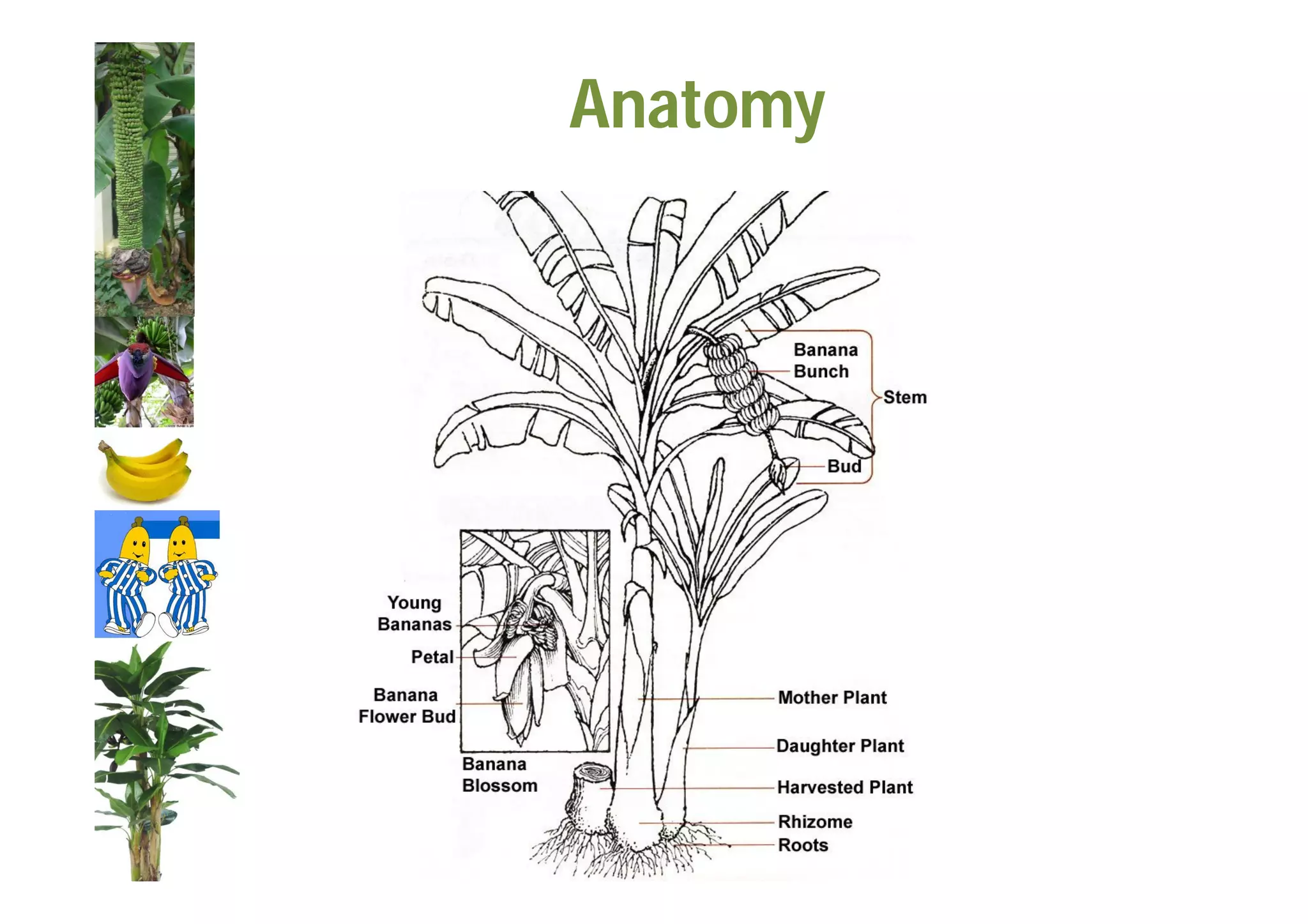 Slide 9