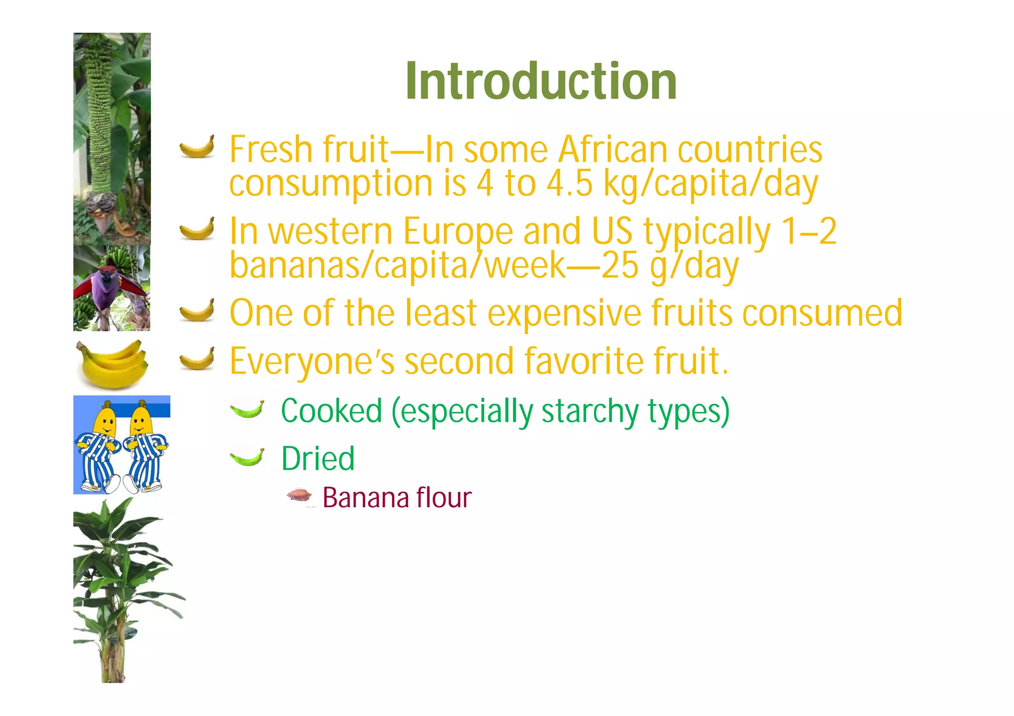 Slide 10