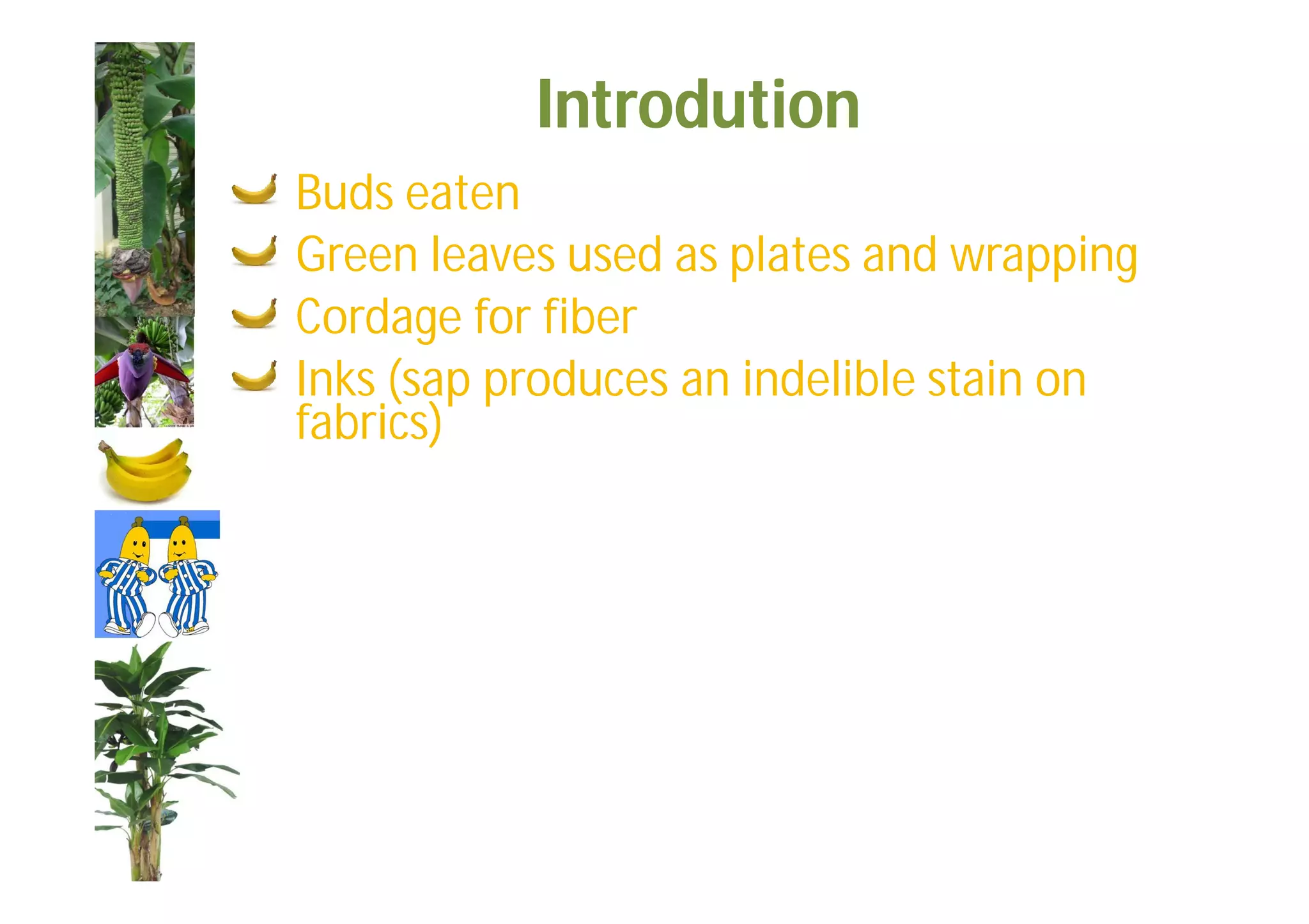 Slide 11