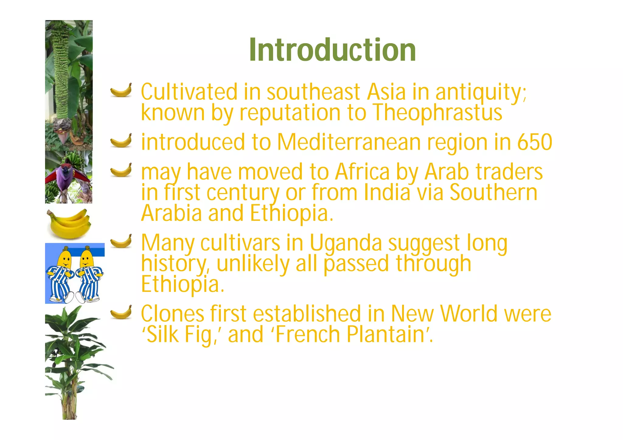 Slide 12