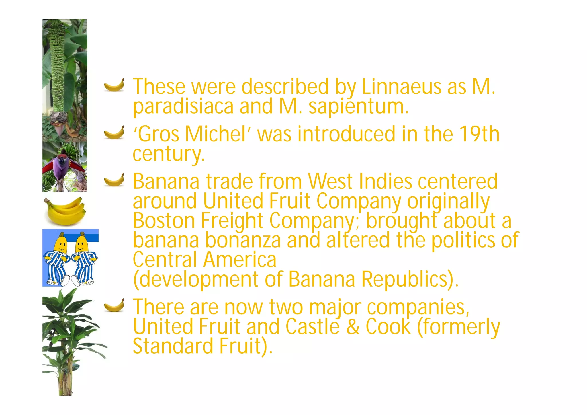 Slide 13