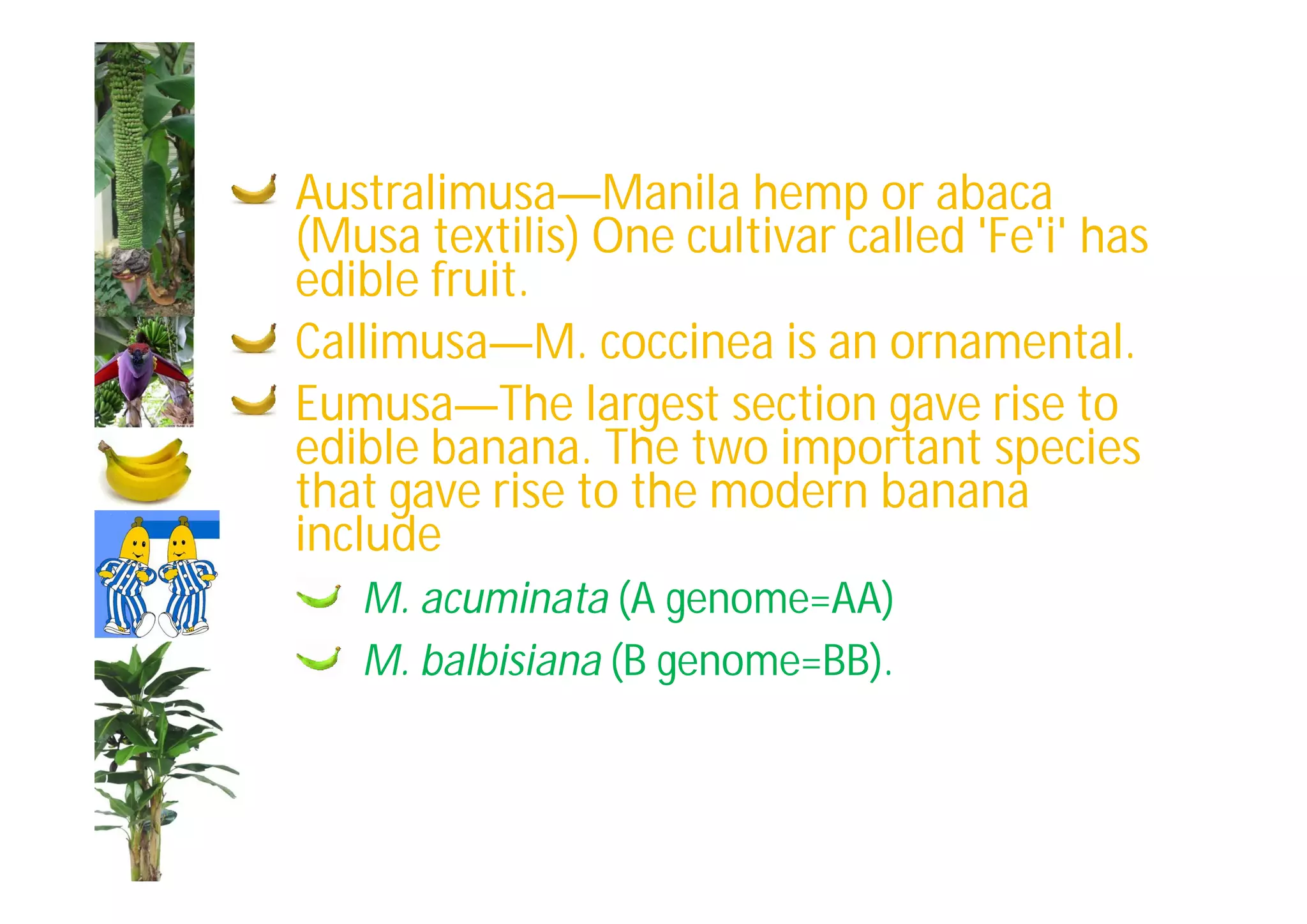 Slide 16
