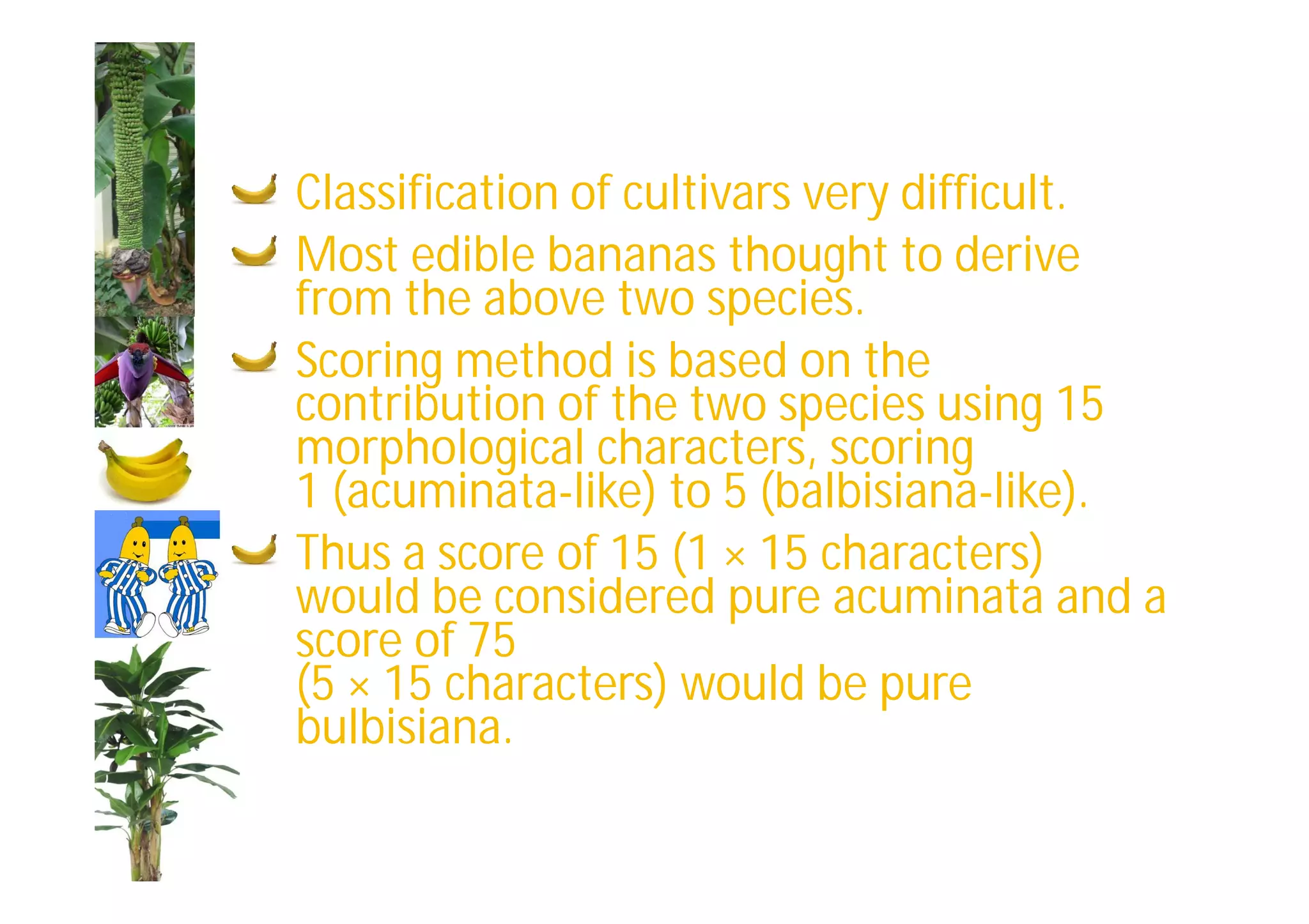 Slide 17