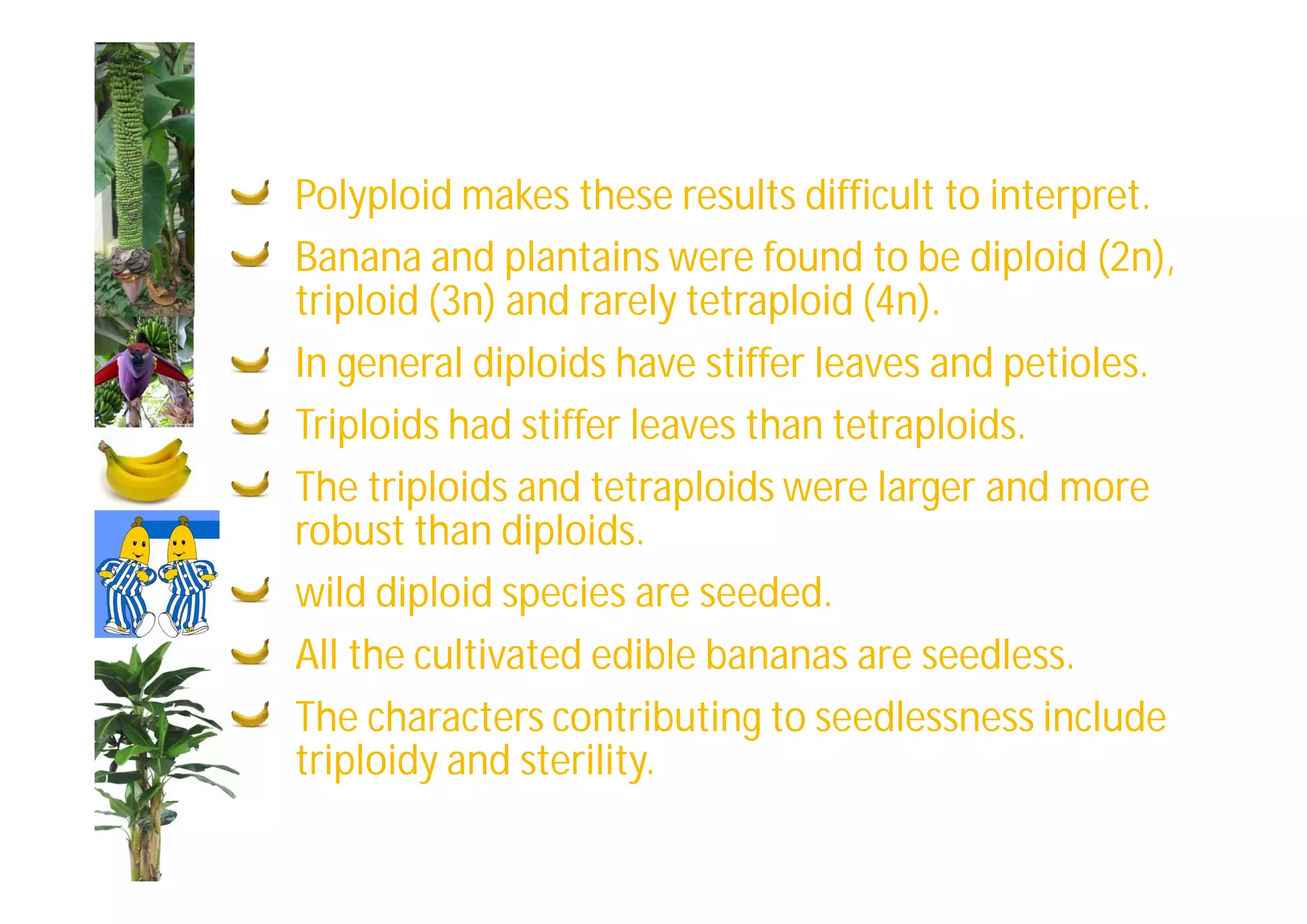Slide 18