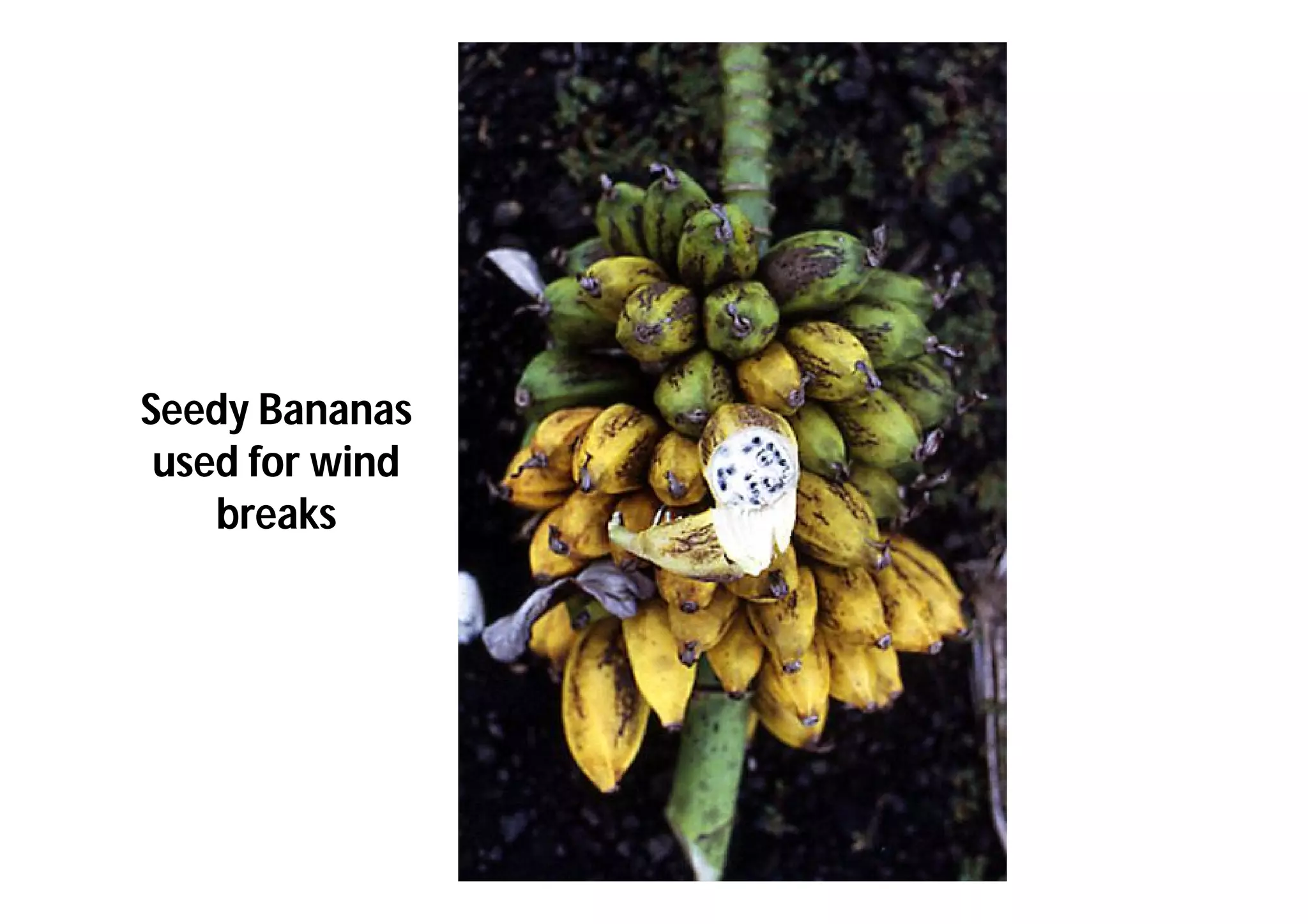Slide 19
